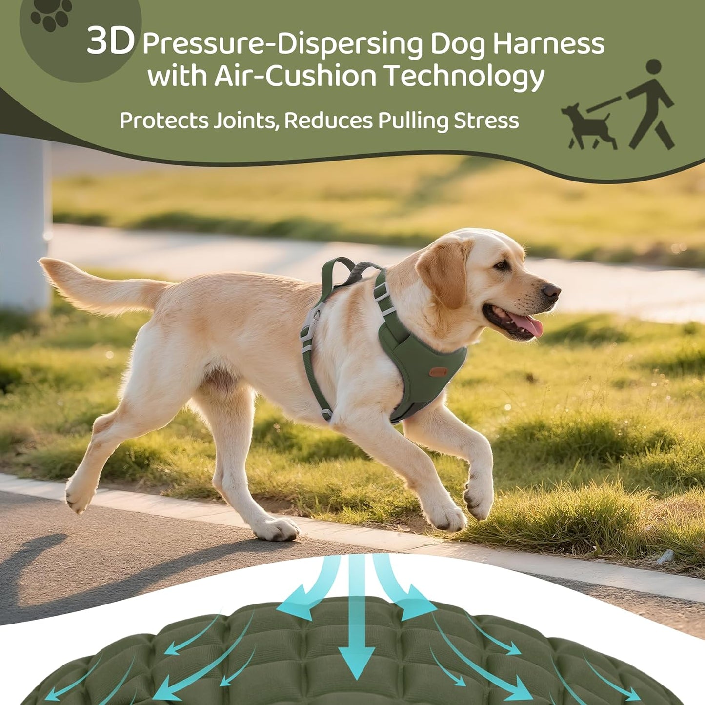 Xlife Dog Harness for Large Dogs - No-Pull Adjustable Vest Harness with 3D Air Cushion, Safety Buckle & No-Chock D Ring, Easy to Put On - Comfortable & Breathable for Easy Walking (Green L)