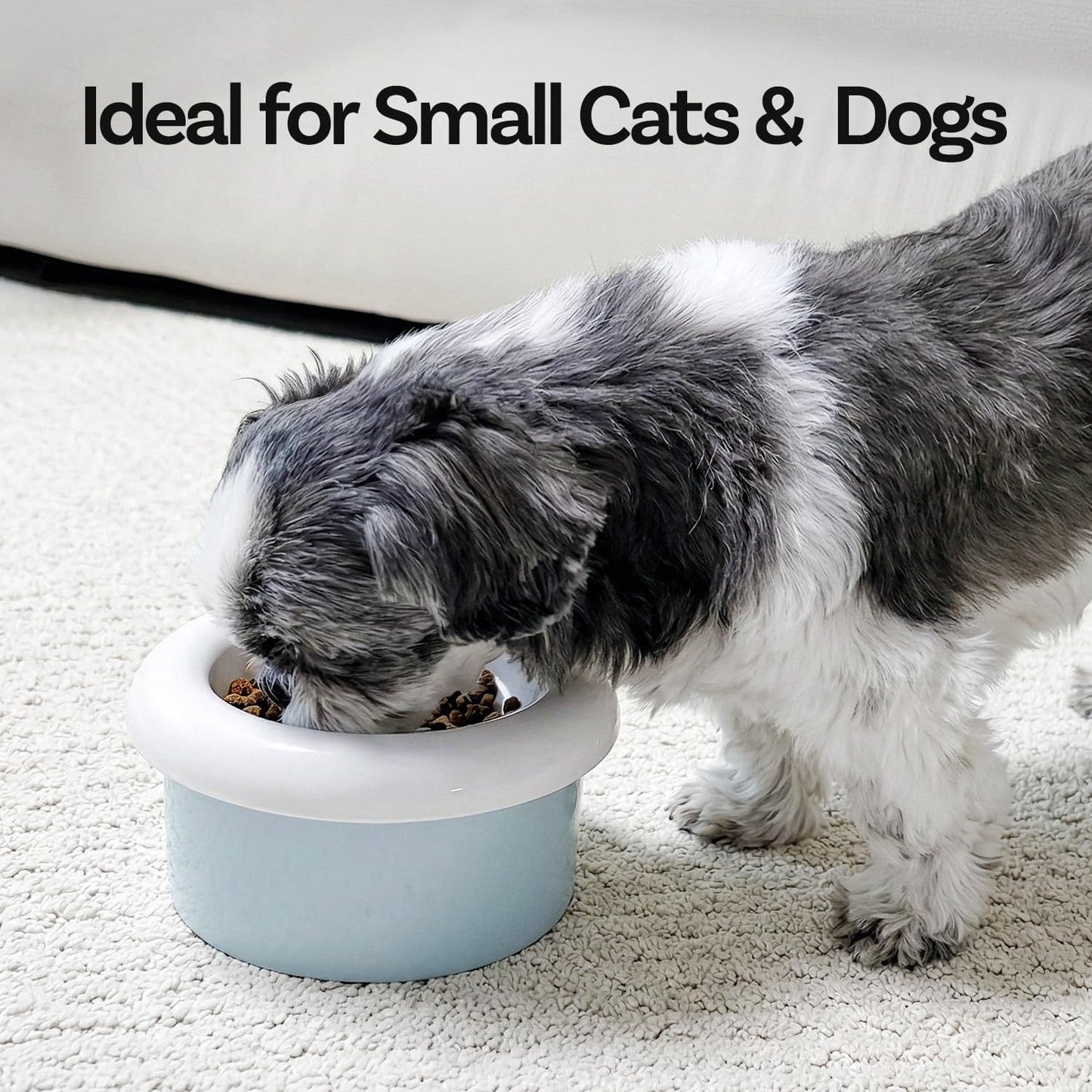 Donut Bowl Elevated Ceramic Cat Bowl with Stand, Raised Whisker-Friendly Bowl for Cats & Small Dogs, Patented Donut Design, Made in Korea (5.9" H -White)