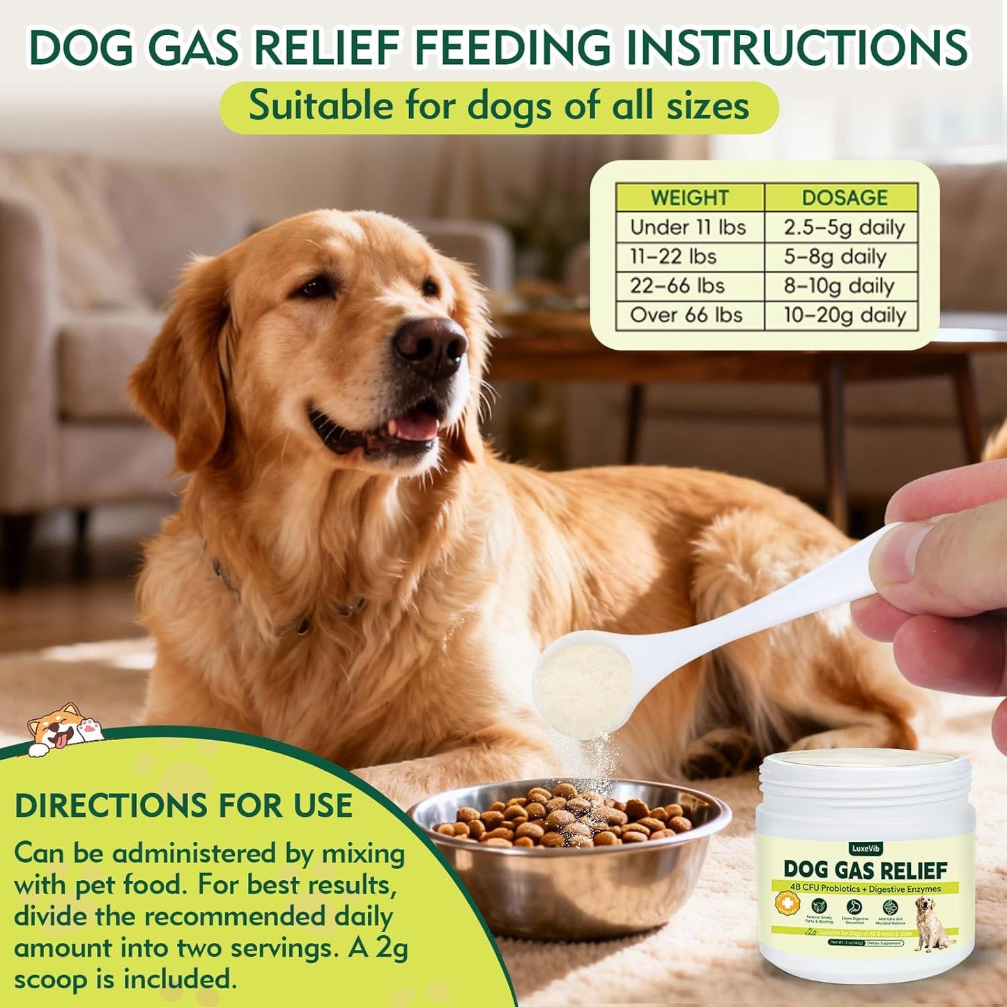 Dog Gas Relief, Relief Smelly Farts with 4B CFU Pediococcus Acidilactici Probiotics, Digestive Enzymes, Dog Fart Remedy to Help Gas & Bloating, Dogs Farts Relief, Dogs Gut Health Digestive Support