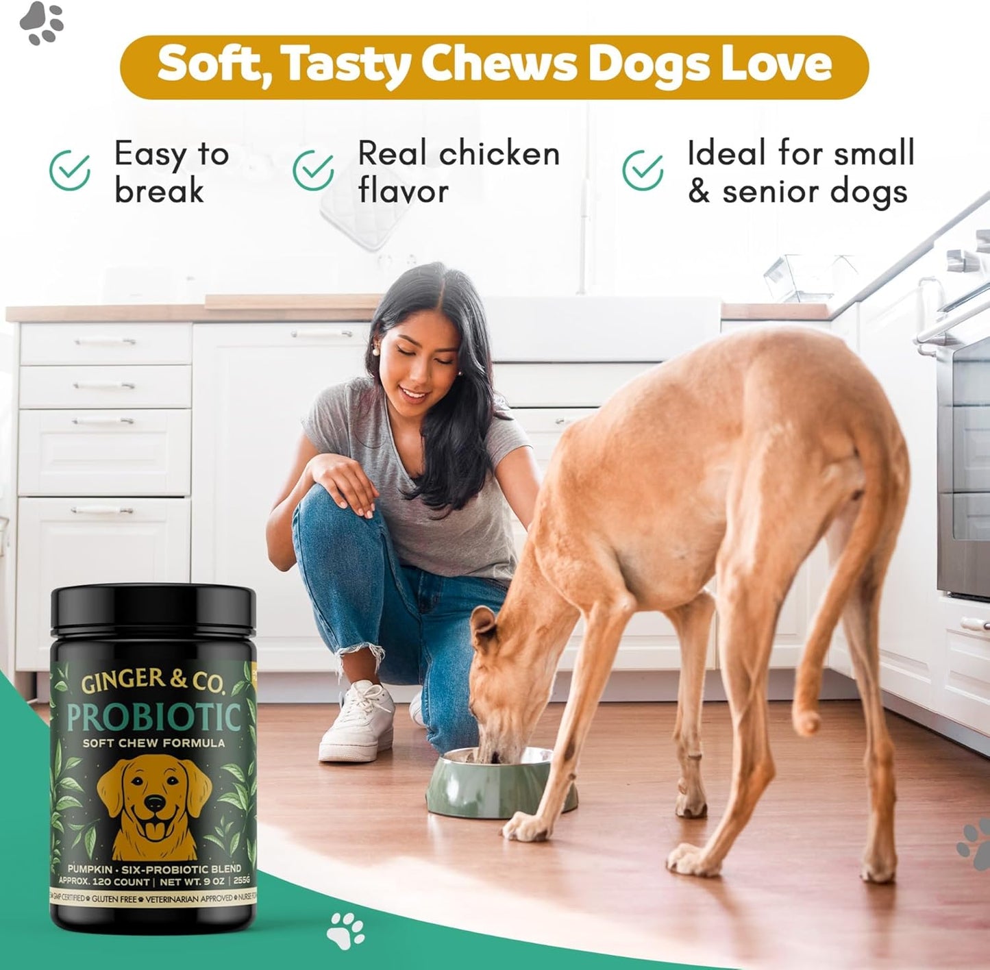 Ginger & Co Dog Probiotic Chews – Digestive Support for Loose Stool, Gas & Sensitive Stomach – Pumpkin, Enzymes & 1 Billion CFU Probiotics – Cold Pressed, No Fillers – Made in USA ~ 120 Chews