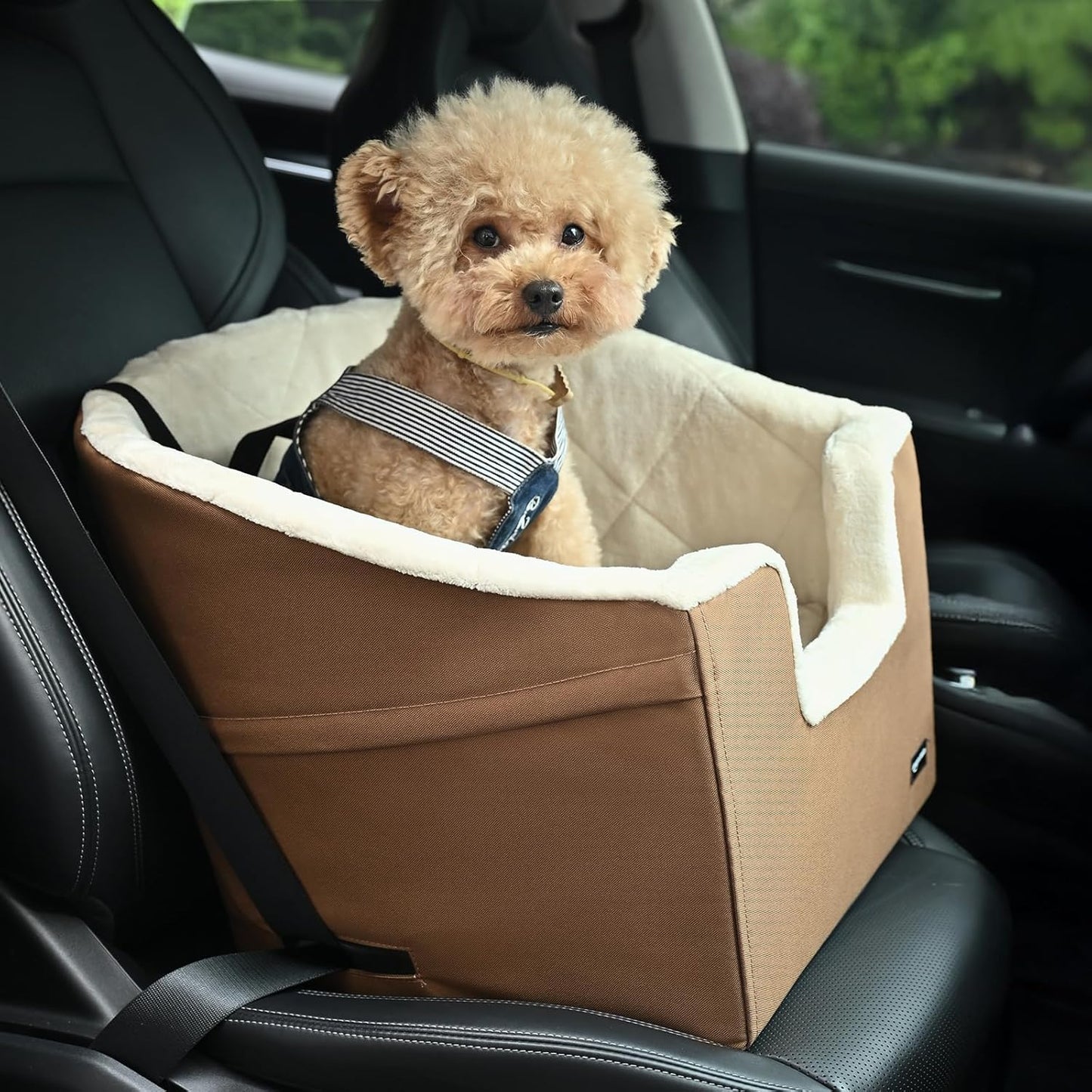 Amazon Basics Dog Car Seat Booster for Small Dogs up to 25lbs, Washable Removable Cover, Safety Leash, Elevated View for Window, 18" x 18" x 16", Tan