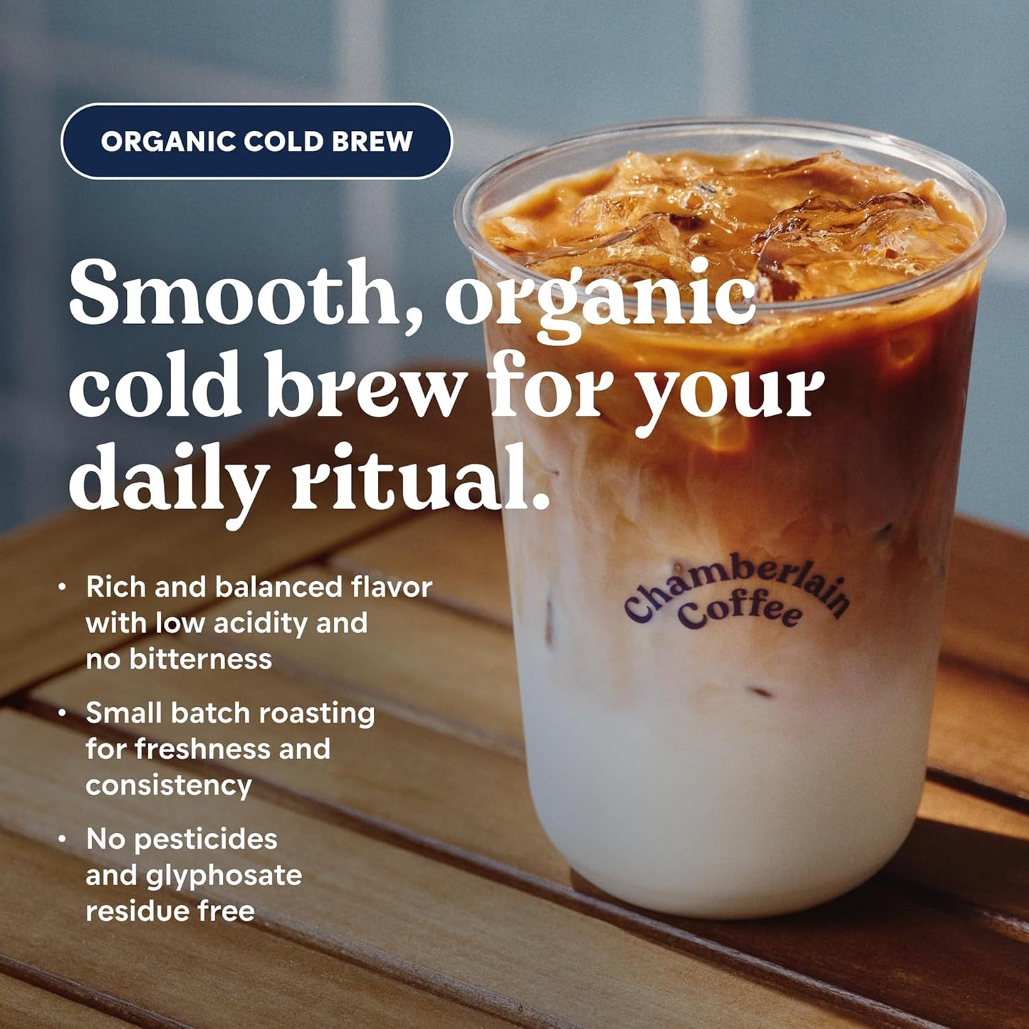 Chamberlain Coffee Organic Variety Cold Brew Singles Medium Roast – 10 Single Serve Bags w/Different Flavors - Ideal for Summer Use, at Home, Camping, or Travel - Coffee Gift Set for Any Occasion