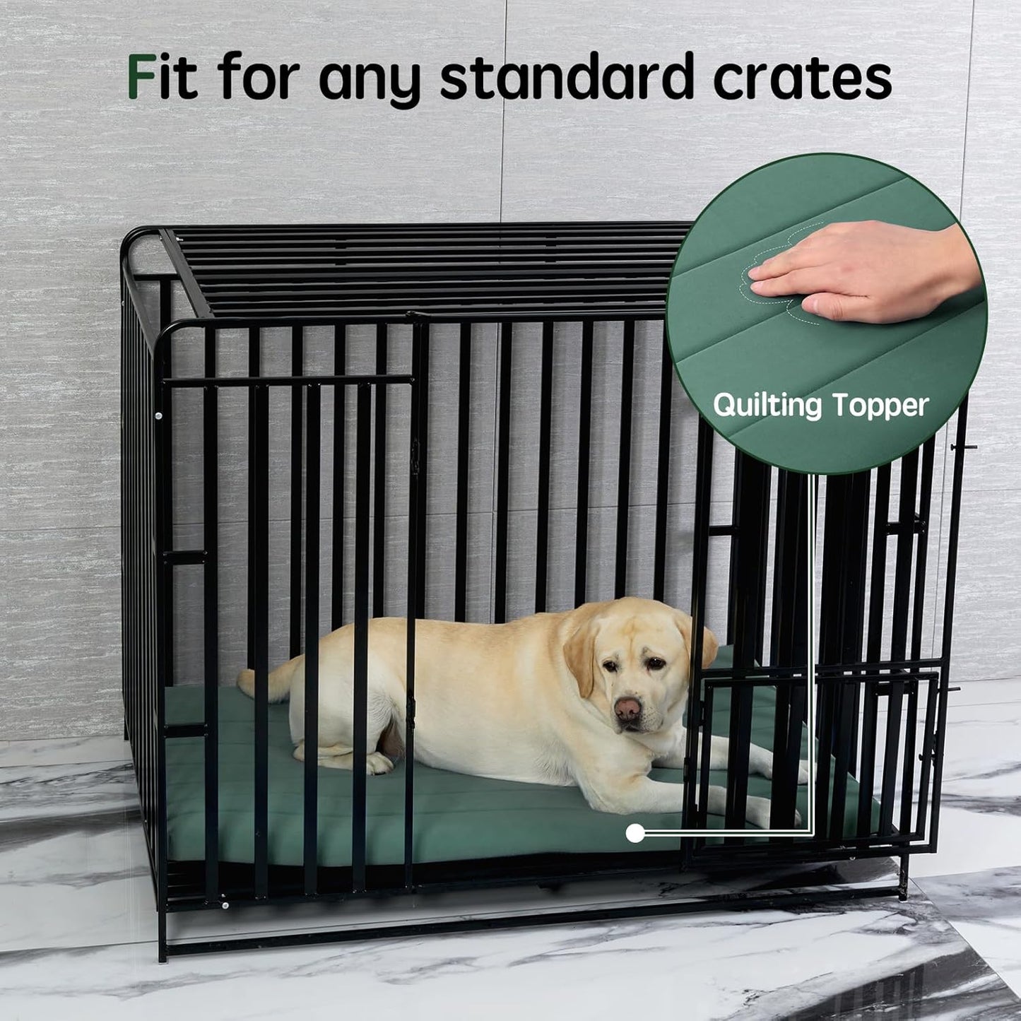 BALANCE Dog Crate Bed, Orthopedic Dog Bed Pad with Waterproof Liner, Washable Crate Foam Pet Mat for Large, Medium, Puppy Dogs Breeds, Mint Leaf, 36“x23”x1.6“