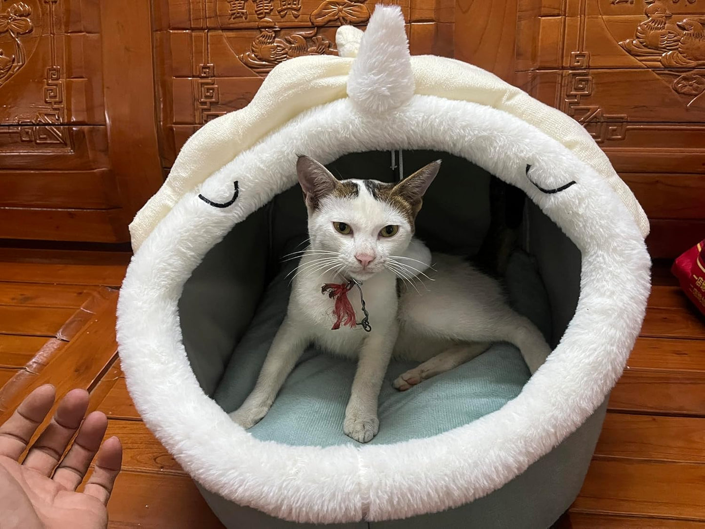 Pet Bed Pads for Dogs and Cats, All-Season Comfort, Removable Cushion (Green, Medium)
