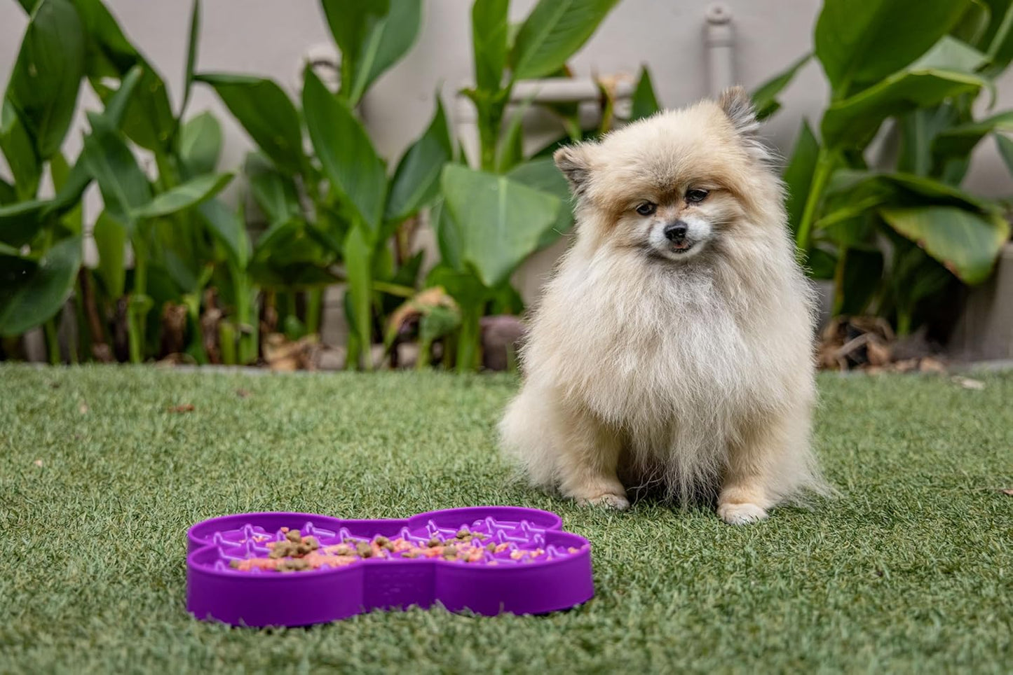 LickiMat Small Slodog Suitable for Wet Food, Raw Food, Kibble and Treats. Perfect Feeder for Small and Medium-Sized Dogs. No Gulp and No Frustration. (Pink)