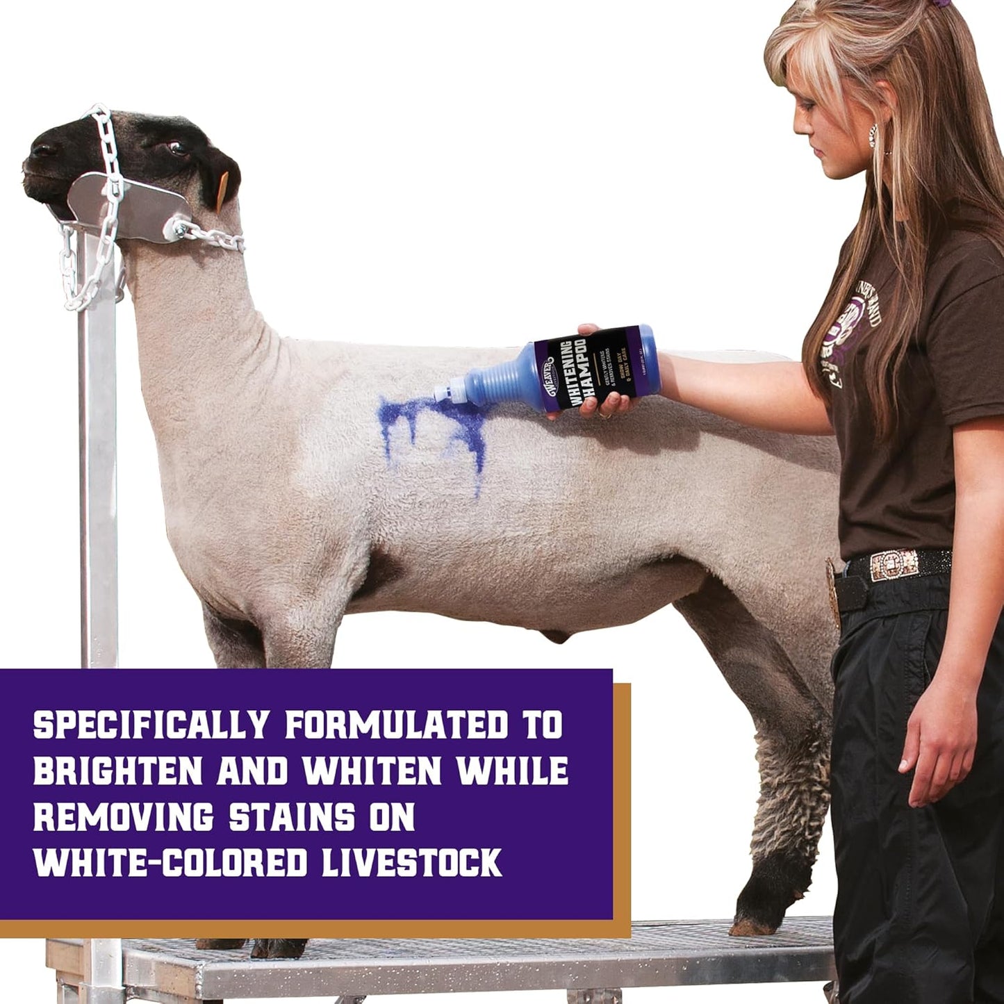 Weaver Leather Livestock Whitening Shampoo