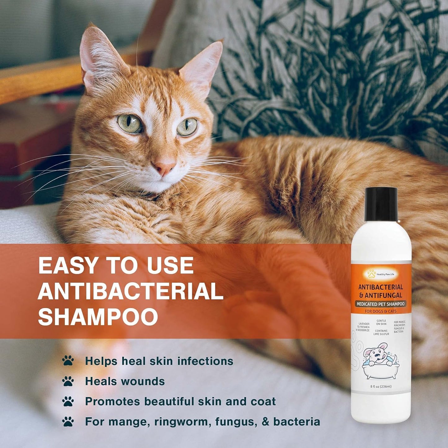 Bundle - 2 Items: Classic's Lime Sulfur Shampoo (8 oz) and Classic's Lime Sulfur Spray (8 oz)