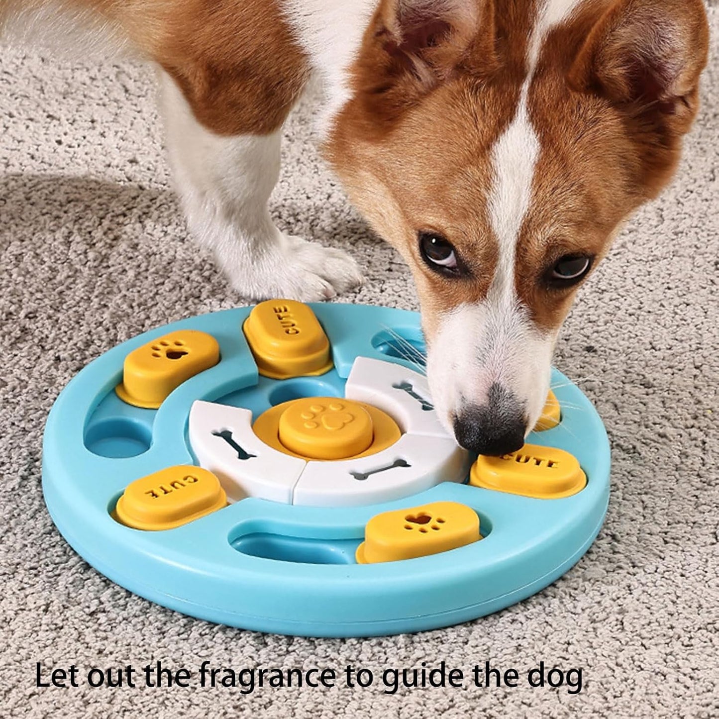Cats Water Bowl Outdoor Drinking Bowls Dog Light Weight for Puppies Enrichment Feeders Educational Pet Training Bowl