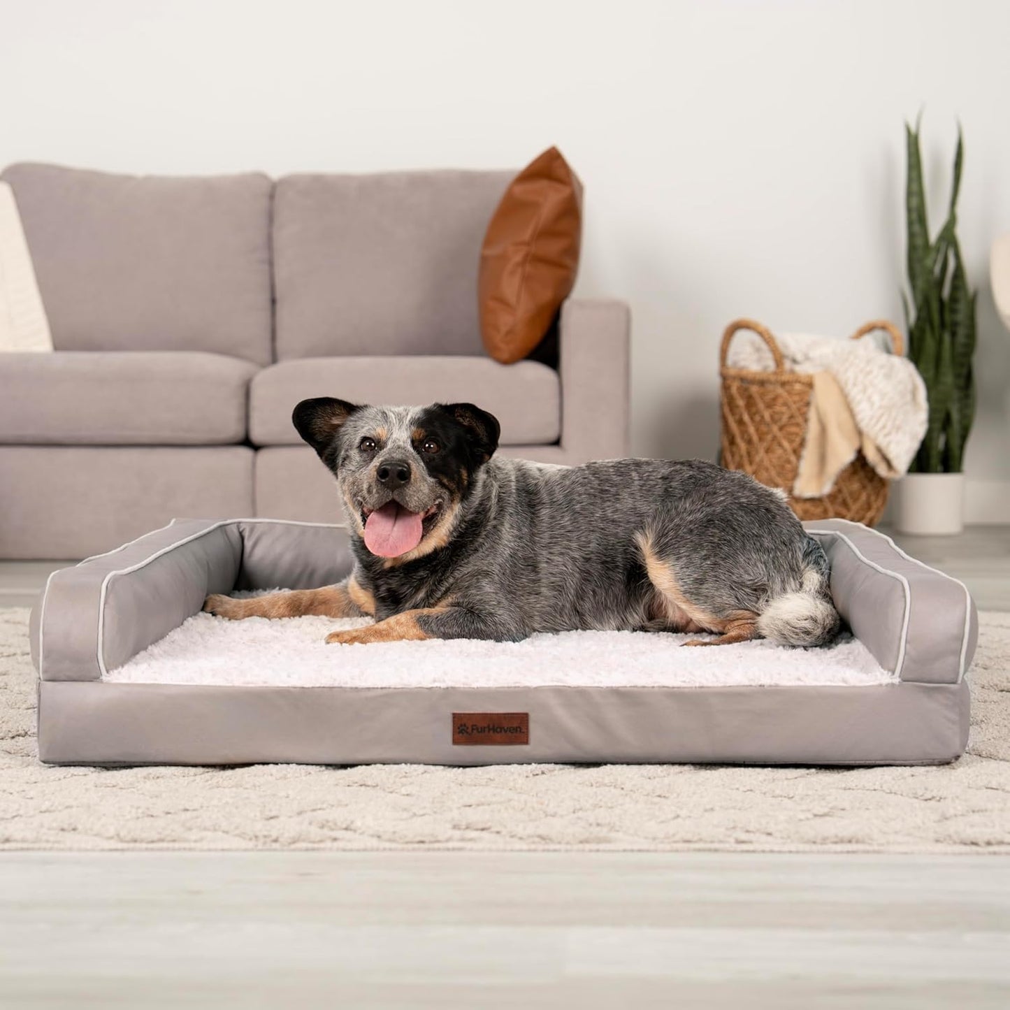FurHaven Textured Plush & Coated Polyester Solid Core Modern Sofa Pet Bed, Greige, Large