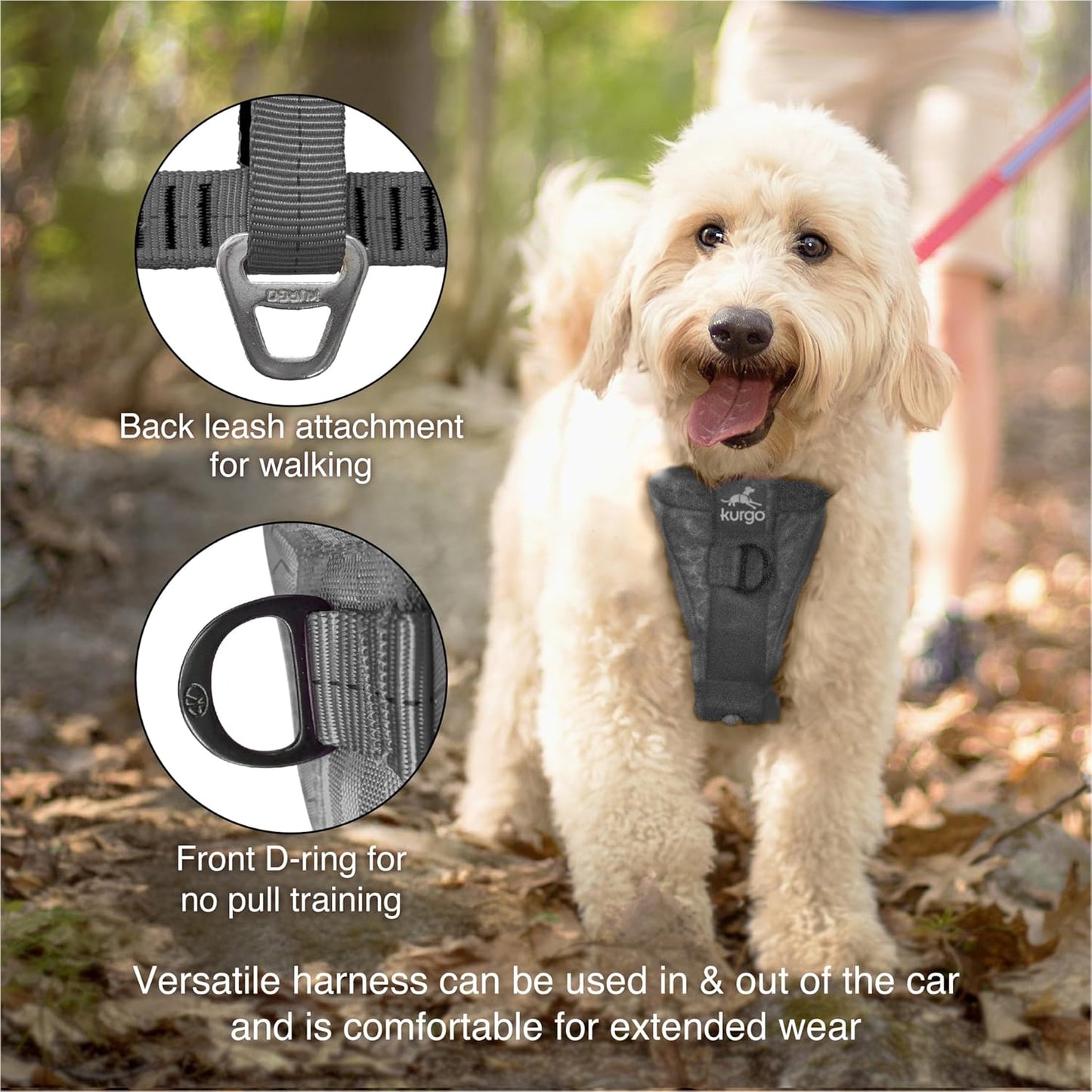 Kurgo Enhanced Strength Tru-Fit Dog Car Harness - Pet Travel Safety Harness - Crash Test Certified Fit - Five Point Adjustment - Secure Buckle - Padded Chest - Charcoal - Small