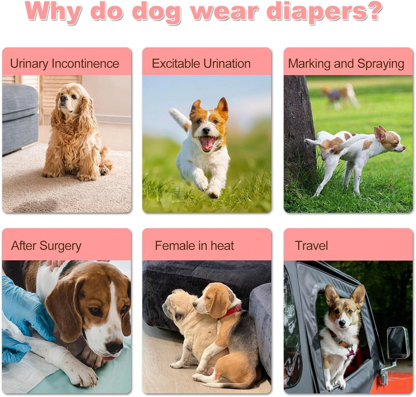 10Pcs Disposable Dog Diapers,Pull Up Stretchy Waist Wraps for Dogs in Heat Period, Strong Absorbency | Leak Proof | Elderly | Doggie Training Incontinence Female XXS