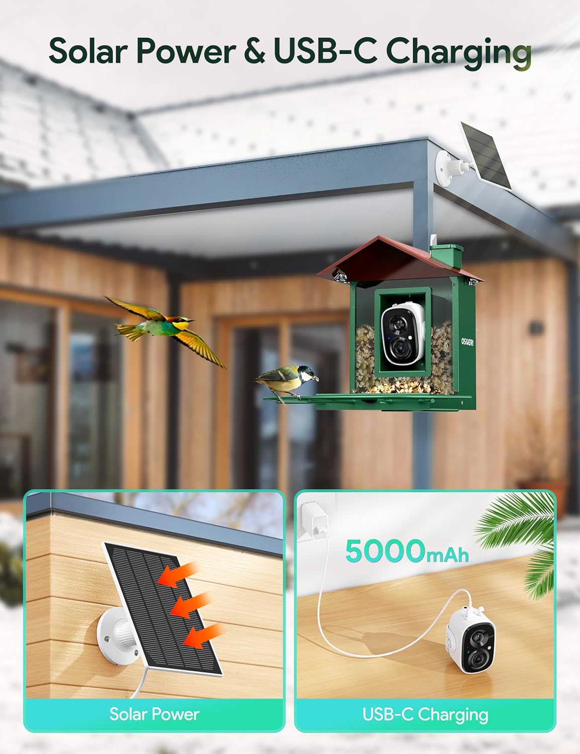 Osoeri Bird Feeder with Camera, Camera Bird Feeder for Outside, Solar-Powered, Smart AI Identify Birds, Auto Capture Video & Instant Arrival Alert, Ideal Gift for Family and Birdlover