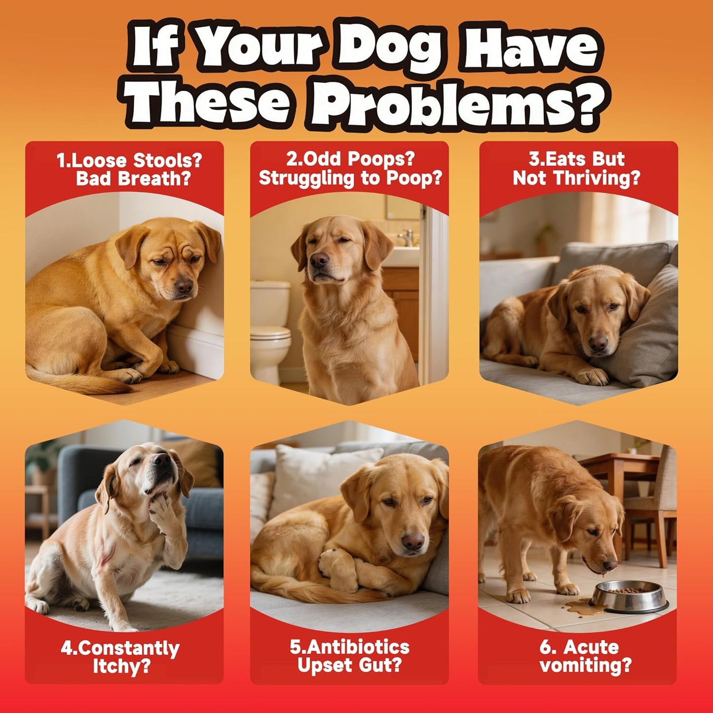 Probiotics for Dogs - Improve Gut Health, Digestive, Immunity, Yeast Balance, Solid Stool - with Prebiotics - Reduce Diarrhea, Gas, Bad Breath, Constipation, Allergy - Ideal for Senior Dogs (5+ Years)