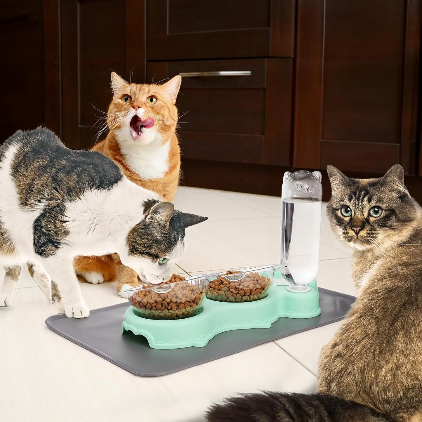 Triple Cats Bowls, Cat Food Water Bowl with Mat and Scoop, 15° Tilted Raised Cat Bowl Dishes with Automatic Water Bottle, Pet Feeding Bowls for Cats, Small Dogs, Wet, Dry Food
