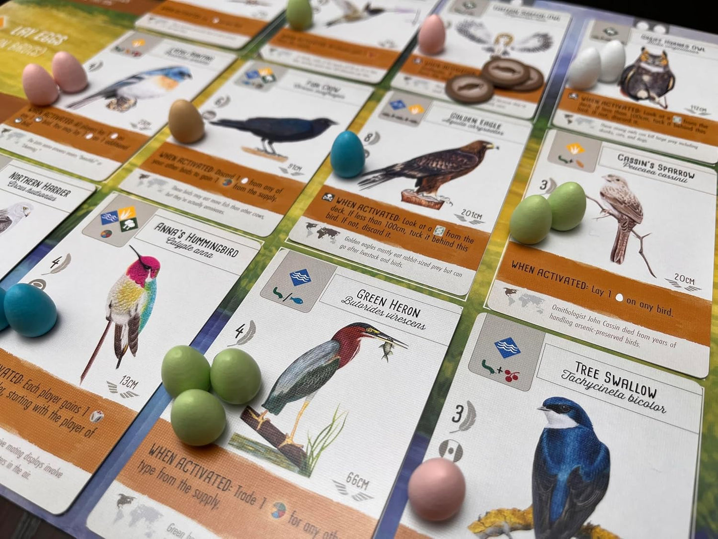 Stonemaier Games: Wingspan (Base Game) by Elizabeth Hargrave | A Relaxing, Award-Winning Strategy Board Game About Collecting Birds for Adults and Family | 1-5 Players, 70 Mins