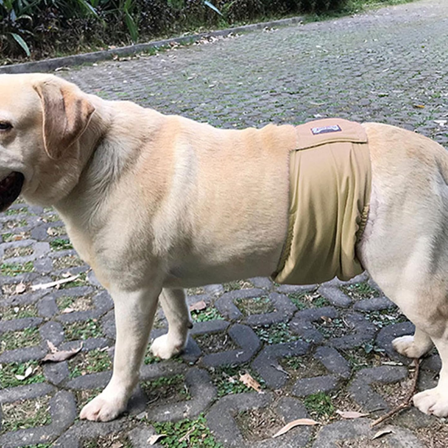Large Dog Diaper Sanitary Physiological Pants Washable Male Dog Underwear Pet Dogs Supplies Dog Reusable Underwear