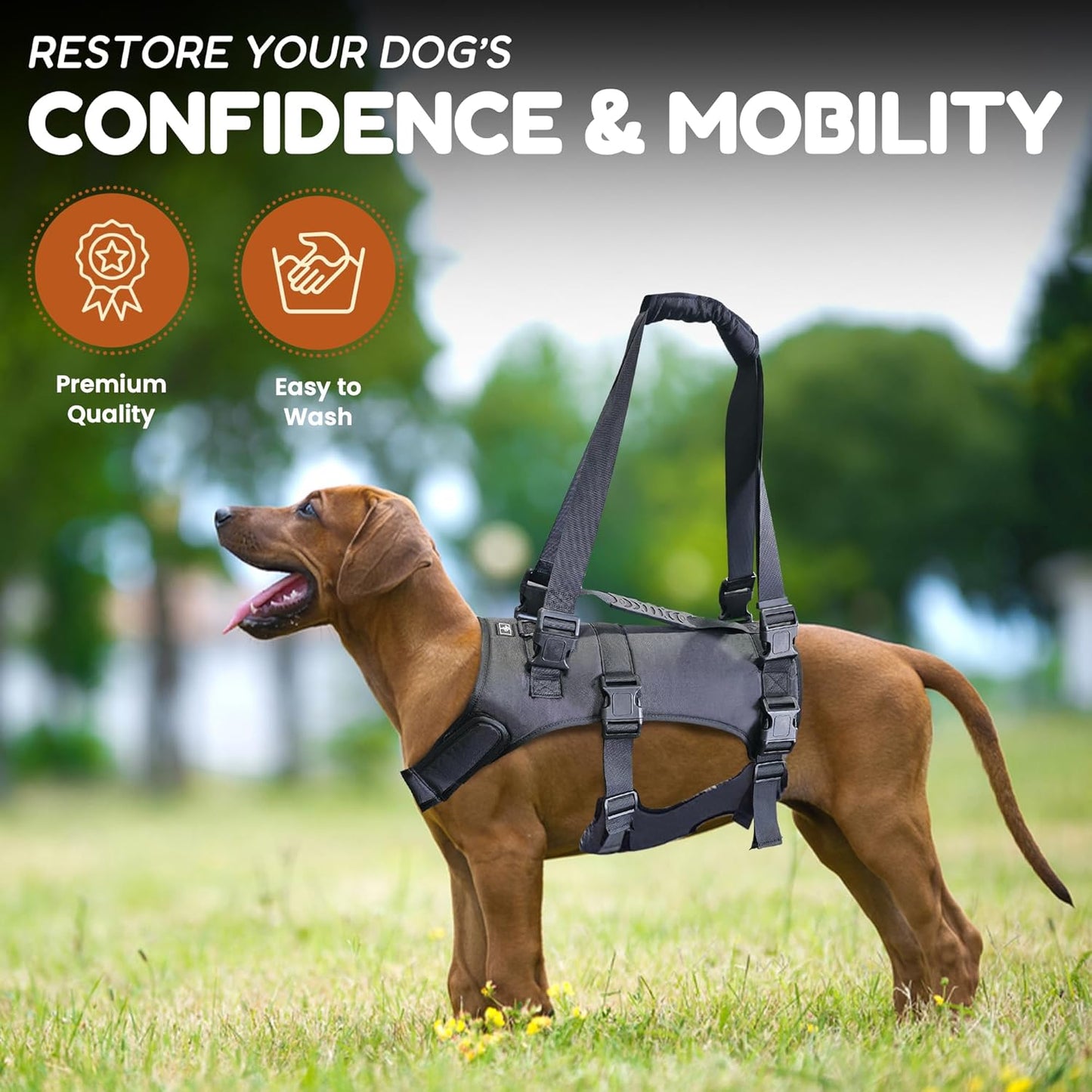 Doggie Stylz Dog Lift Harness for Large Dogs Full Body Support Sling Dog Carrier has Adjustable Handles Recovery Vest for Senior Dogs, Arthritis Joint Injuries, Mobility Aid Back Leg Support (Small)
