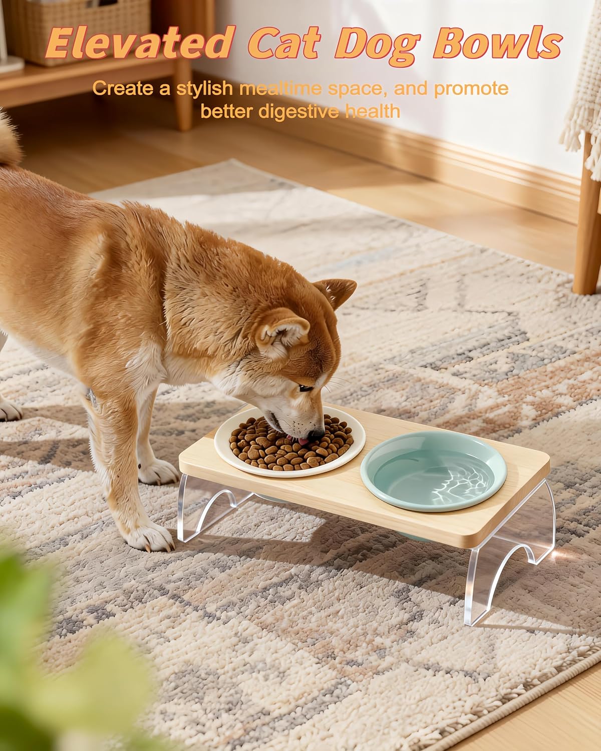 Elevated Cat Dog Bowl with Double Ceramic Bowls