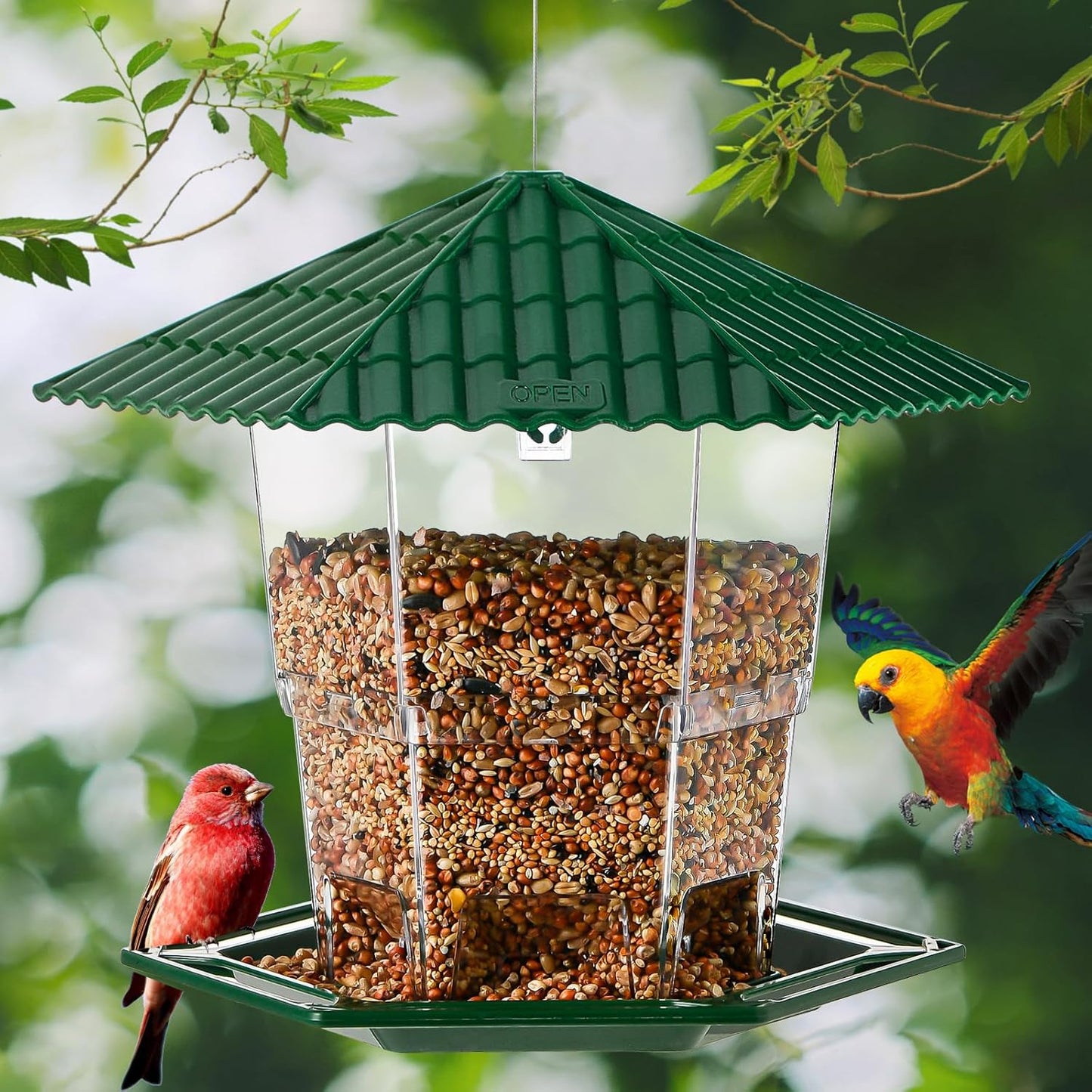 2 Pack Bird Feeders for Outdoors Hanging Bird Feeder Wild Birds Seed, Green BB
