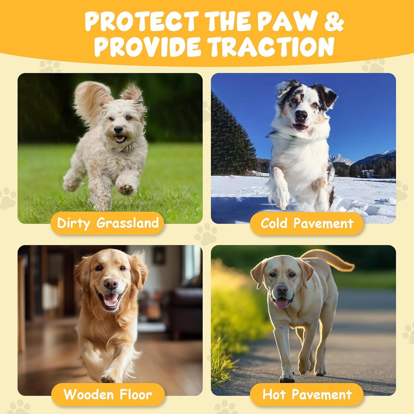 Dapaw Anti-Slip Dog Paw Pads, Paw Grip for Senior Dog on Hardwood & Tile Floors, Protector Pads for Hot Pavement, Paw Stickers for Dogs Feet with Strong Traction (5 Sets, 20 Pcs) XXL