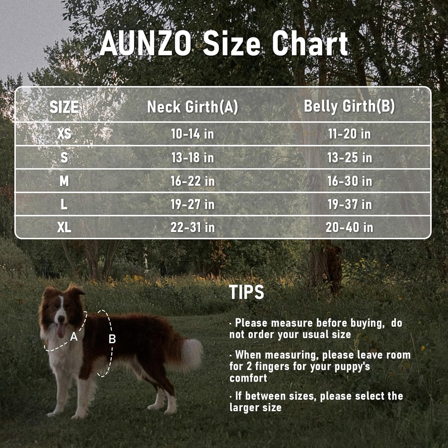 No Pull Dog Harness for Medium Dogs, Easy on/Off with Neck Buckle, Adjustable Reflective Harness Vest with Handle, for Working Training Hiking Walking, Escape Proof Pet Vest
