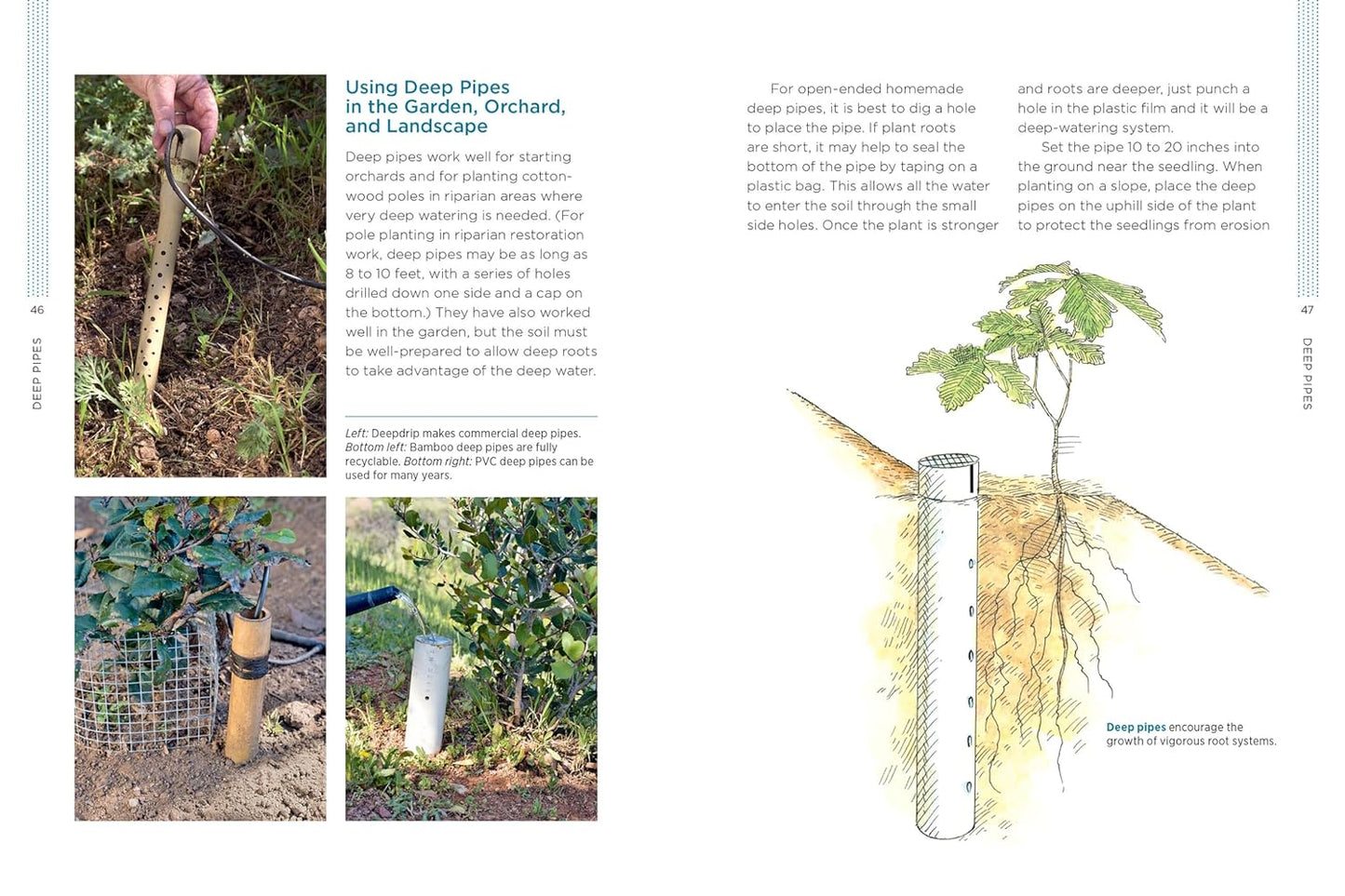 Gardening with Less Water: Low-Tech, Low-Cost Techniques; Use up to 90% Less Water in Your Garden