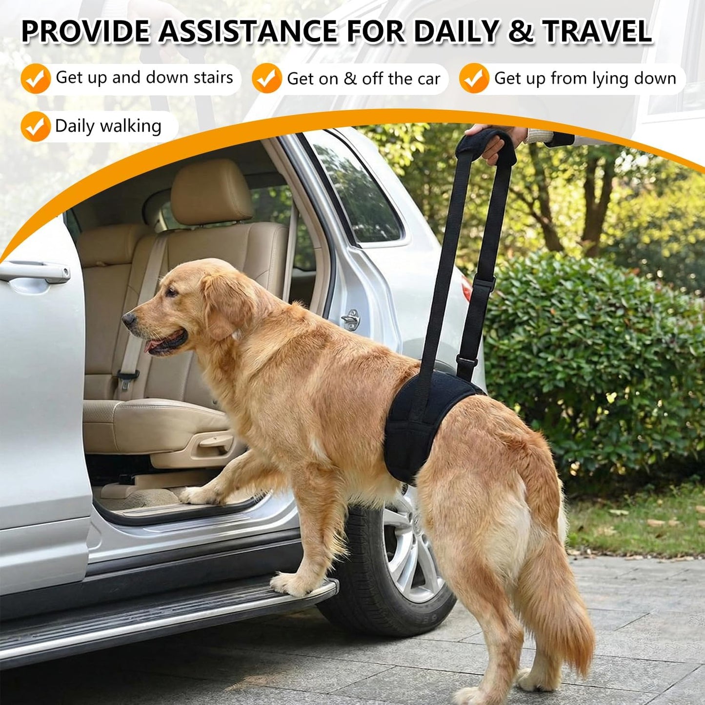 Dog Lift Harness for Rear Legs, Adjustable Dog Support Sling with Soft Padding, Hind Leg & Hip Support for Walking, Stairs & Recovery, Mobility Aid for Senior Dogs (S)