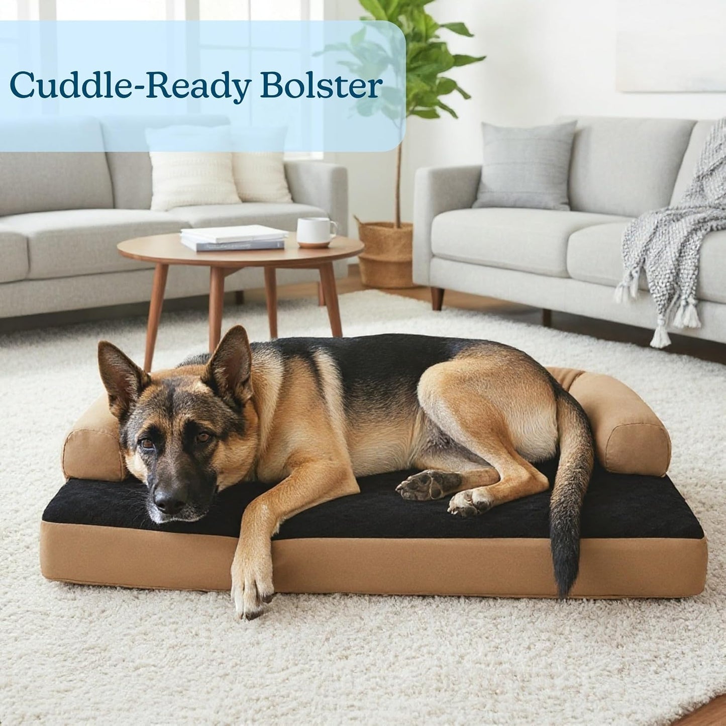 PETMAKER Extra-Large Dog Bed – 45.5 x 32 Pet Bed - 3-Layer Orthopedic Dog Sofa with Cooling Gel, Memory Foam and Neck Bolster (Tan/Black), XL