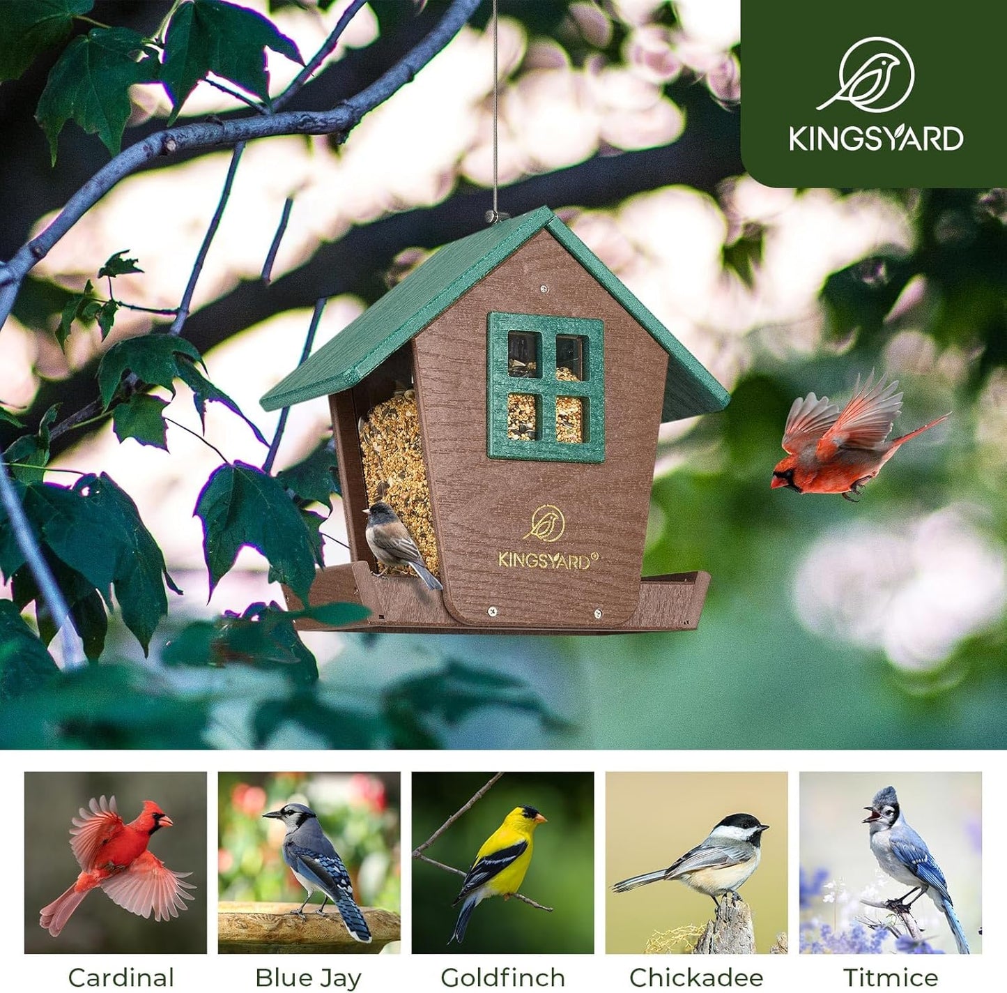 Kingsyard 4 lbs Large Bird Feeder House for Outdoors Hanging, Recycled Plastic Bird Feeder Hopper with Weatherproof Roof & Capacity Tray for Cardinal Bluebird, Garden Yard Outside Decor, Green