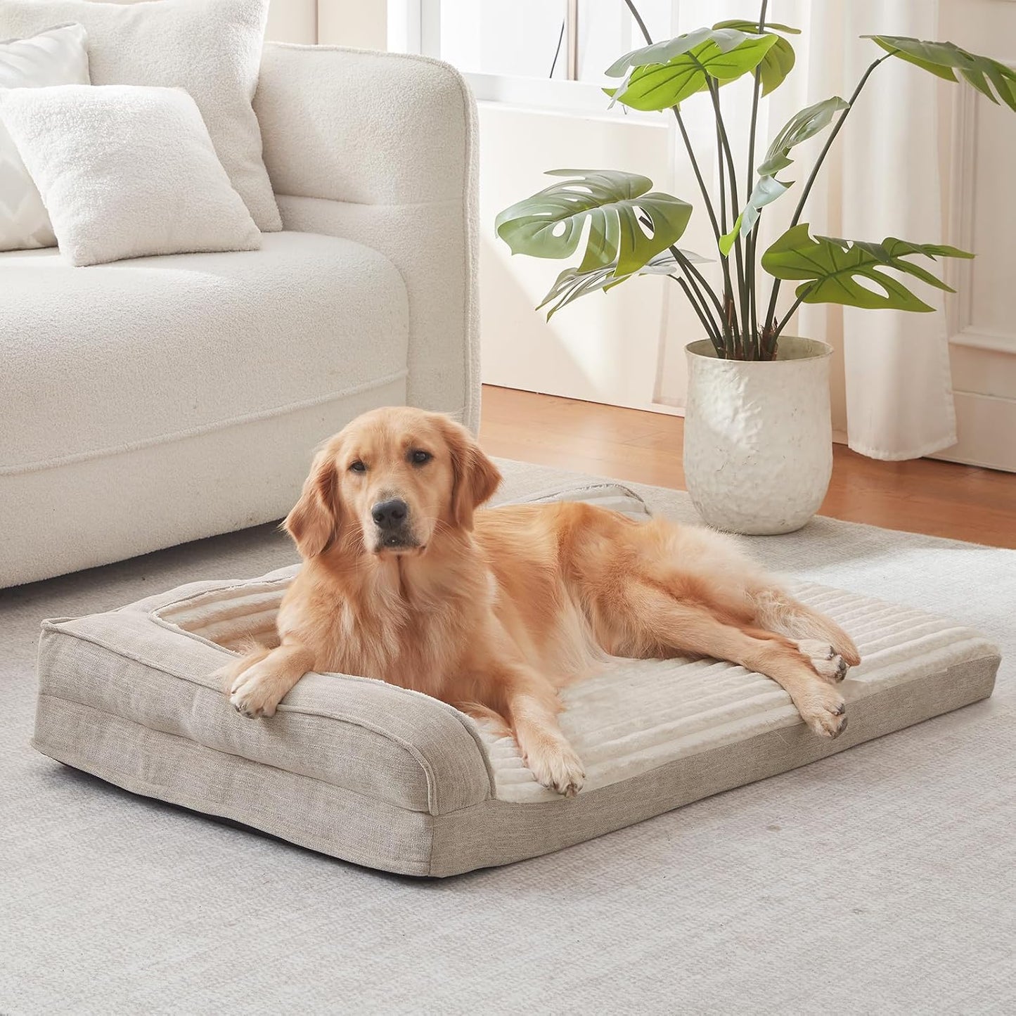 WINDRACING Orthopedic Dog Beds for Large Dogs, Waterproof Egg Foam Dog Sofa Bed with L Bolster Sides, Washable XLarge Pet Bed with Removable Cover & Non-Slip Bottom, 40 x 28 inch, Beige