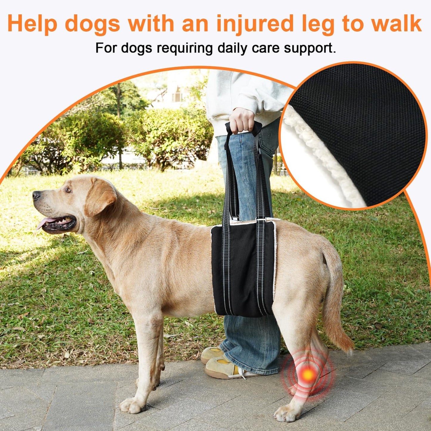 COODEO Adjustable Comfortable Dog Sling with Handle Hind Leg Support Soft Lift Support and Rehab Harness for Weak Rear Legs,Helps Senior, Injured, Disabled and After ACL Surgery Dogs Large (Black, L)
