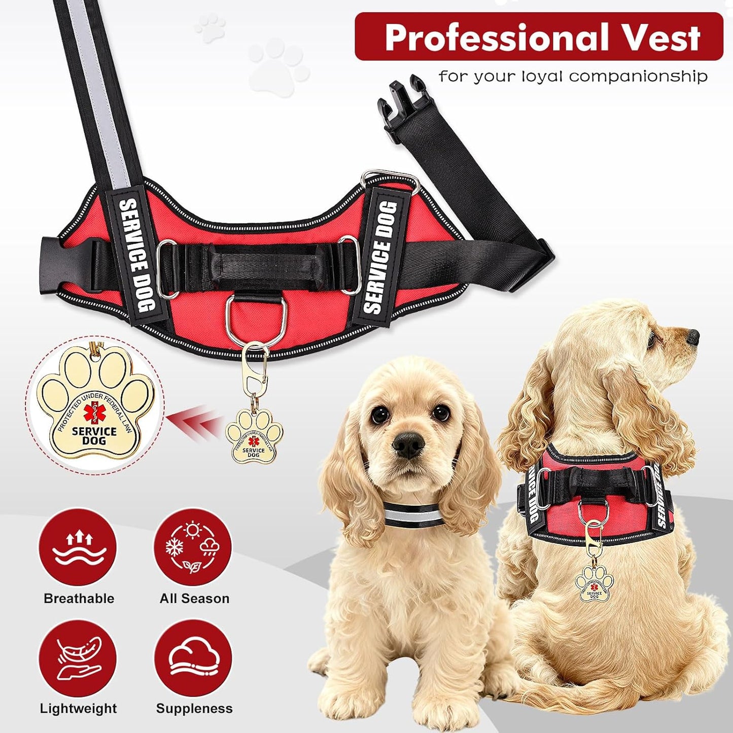 Service Dog Vest, ID Tag + 50 ADA Information Cards, Service Dog Harness in Sizes X Small to XX Large, Metal Dog Tag has Ruggedized Clip, 2-Sided Service Animal Cards,ESA Accessory Set Small