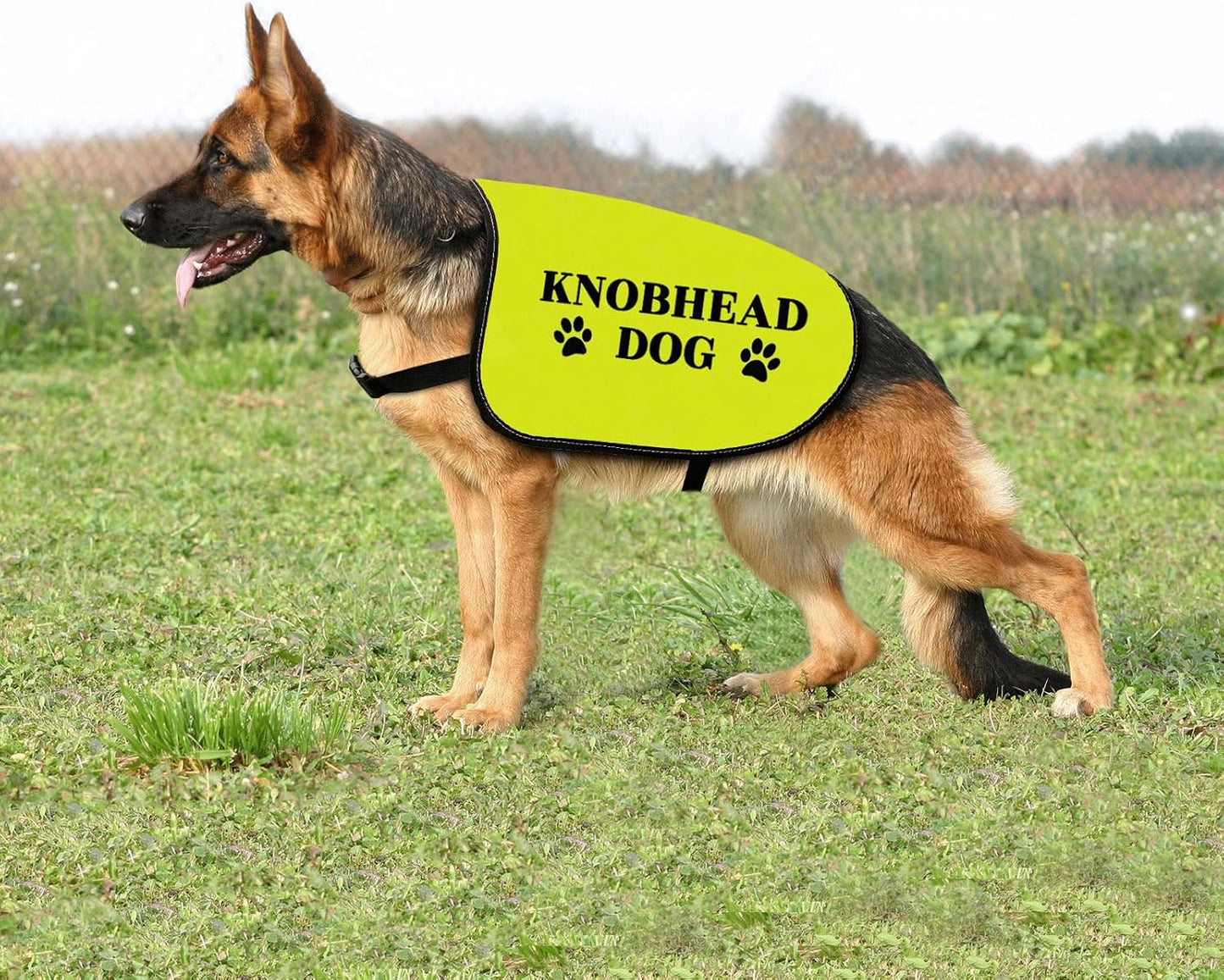 Funny Knobhead Dog Jacket Knobhead Dog Slogan Vest Social Distancing Gift Nervous Dogs Gift (KNOBHEAD Dog-Medium)