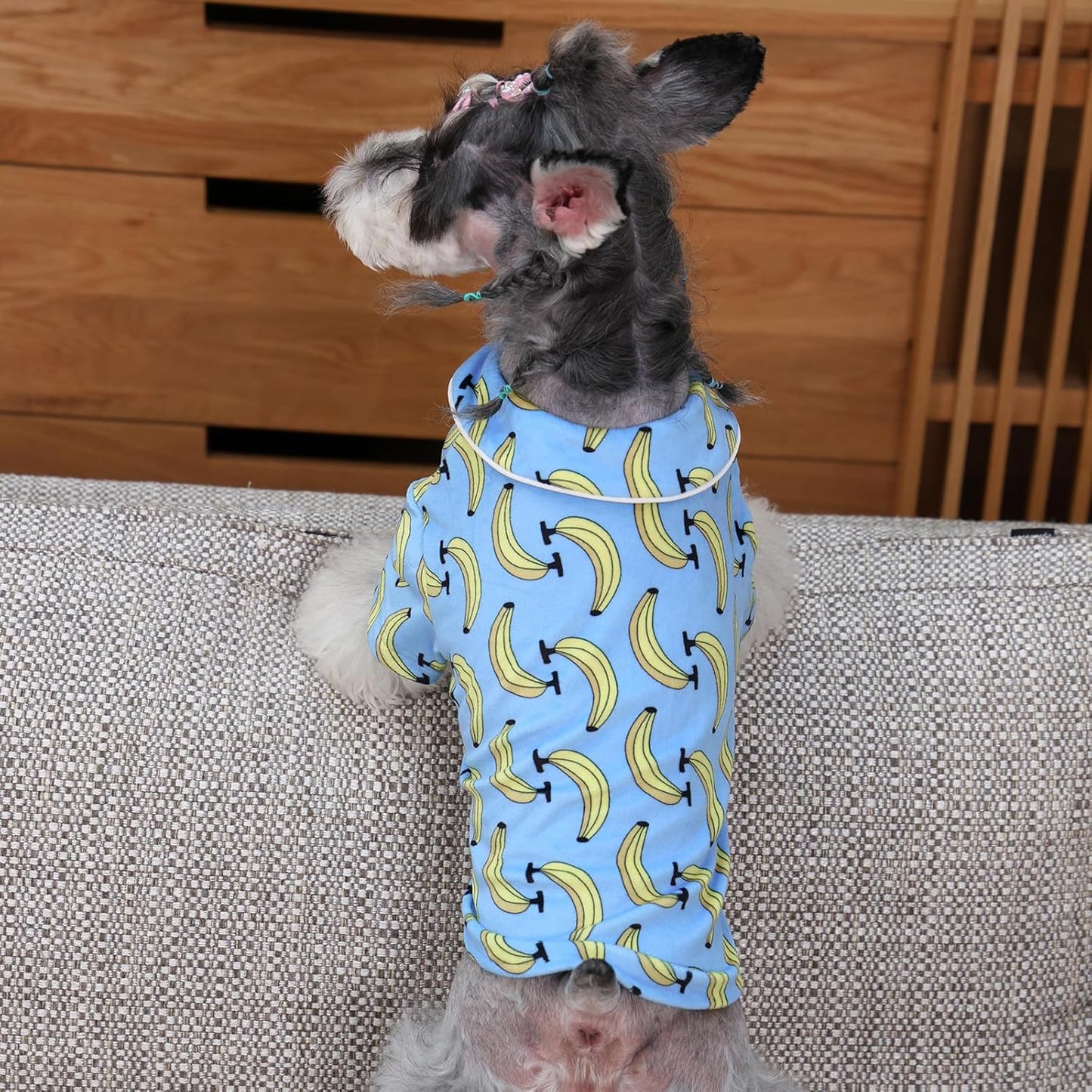 CuteBone Two-Leg Velvet Pet Pajamas Girl Dog Clothes - Soft, Cozy, and Stretchy Boy Pjs for Small, Medium Dogs and Cats Winter Sleepwear Apparel LTP03L