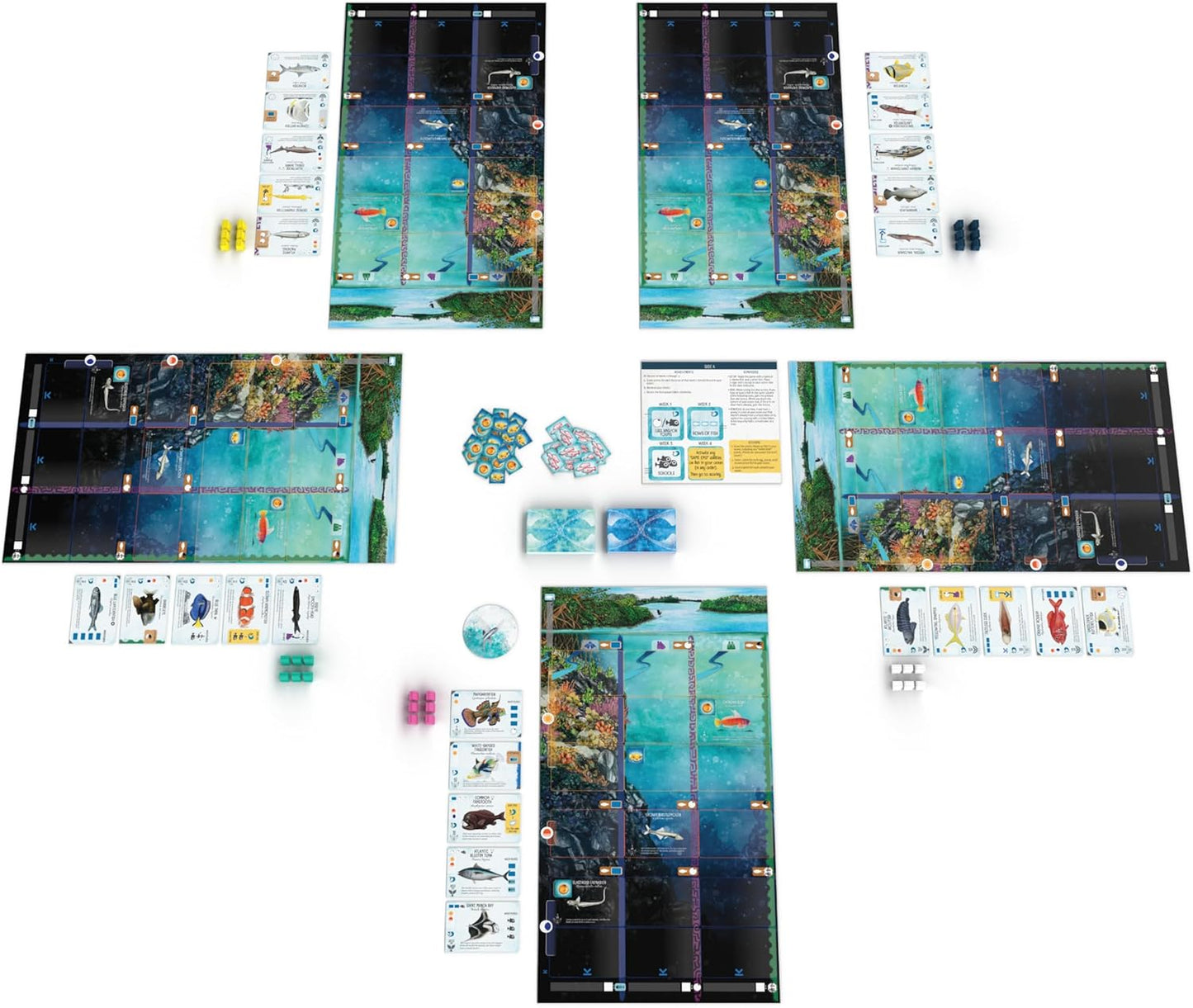 Stonemaier Games: Finspan - A Wingspan Game by David Gordon & Michael O’Connell | A Relaxing Strategy Board Game About Collecting Fish and Ocean Diving for Adults and Family | 1-5 Players, 60 Mins