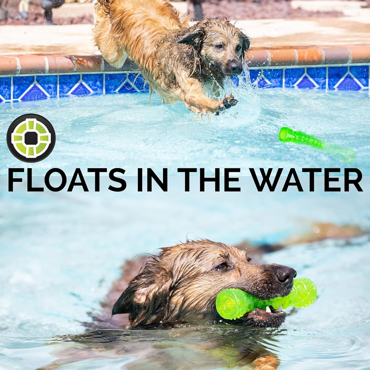 Hyper Pet DuraSqueaks Dog Toy Balls and Chews (Squeaky Dog Ball For Interactive Play – Floating Balls and Toys) - Medium Stick