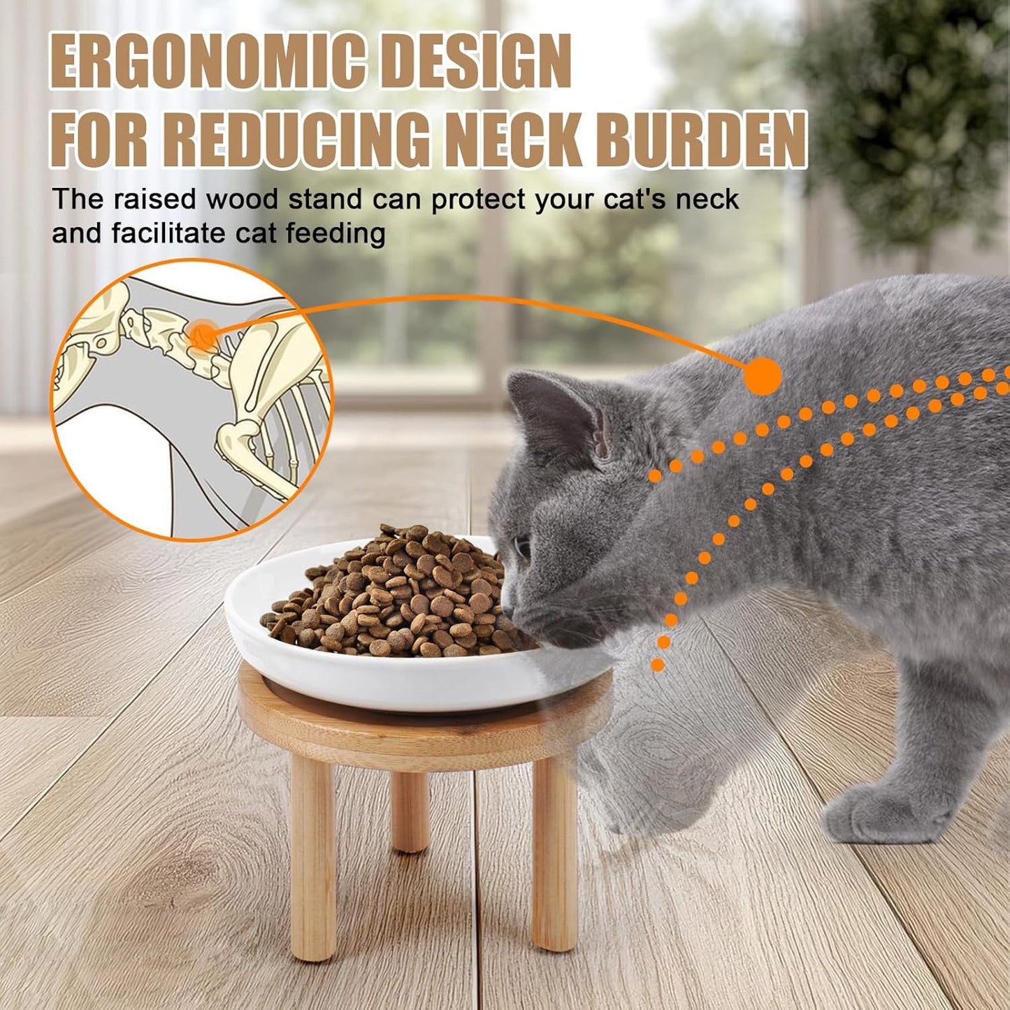 Shallow Elevated Cat Bowls with Bamboo Stand, 5.9 Inch Wide Ceramic Cat Dish Whisker Friendly, 2 Pack Pet Food and Water Plates