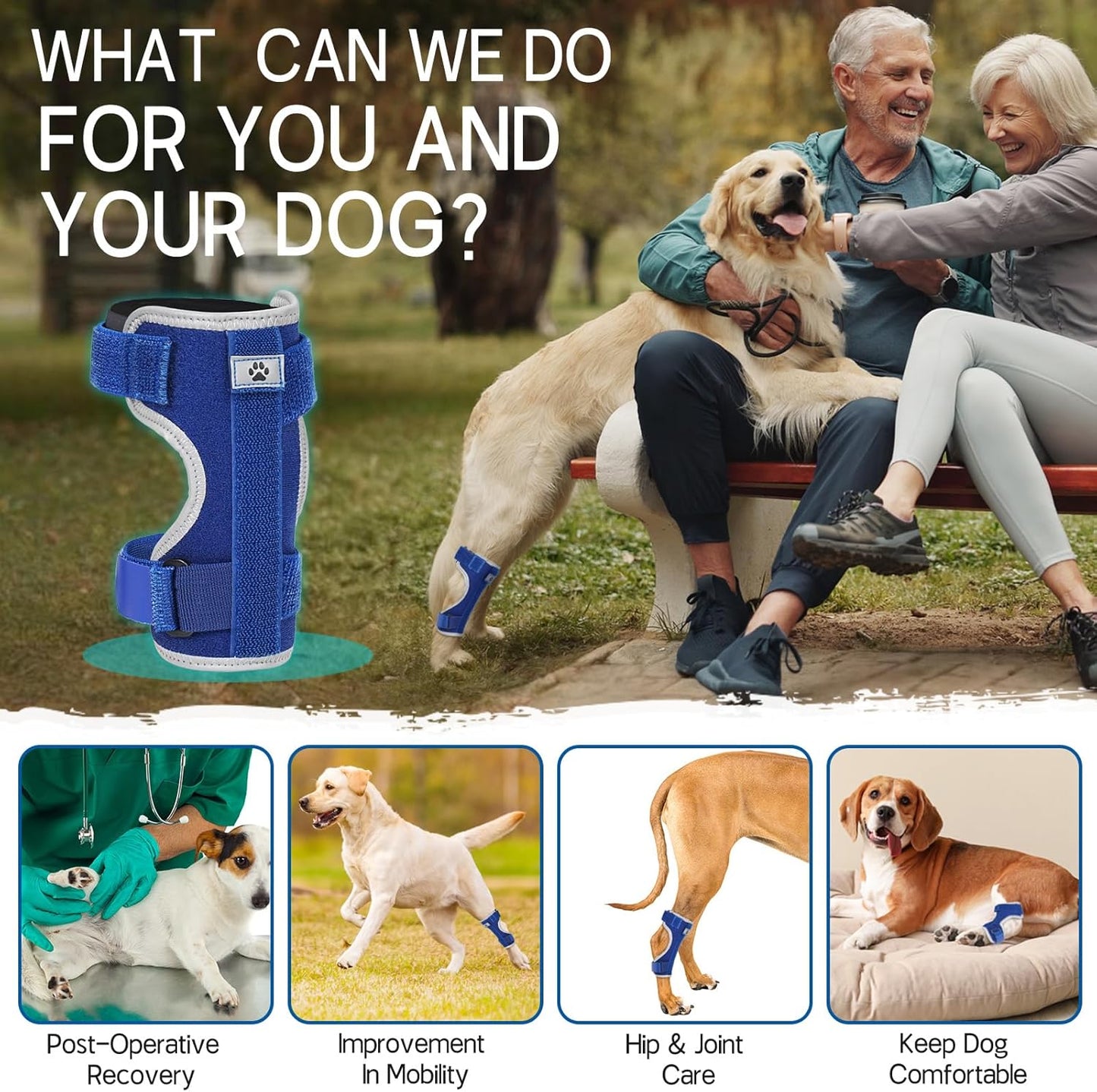 Supet Dog Leg Brace for Back Leg - Hock & Ankle Joint Support for Rear Legs with 2 Metal Springs, Anti-Slip Design & Reflective Trim for Sprain, Arthritis, Injury & Wound Recovery (Blue, L)