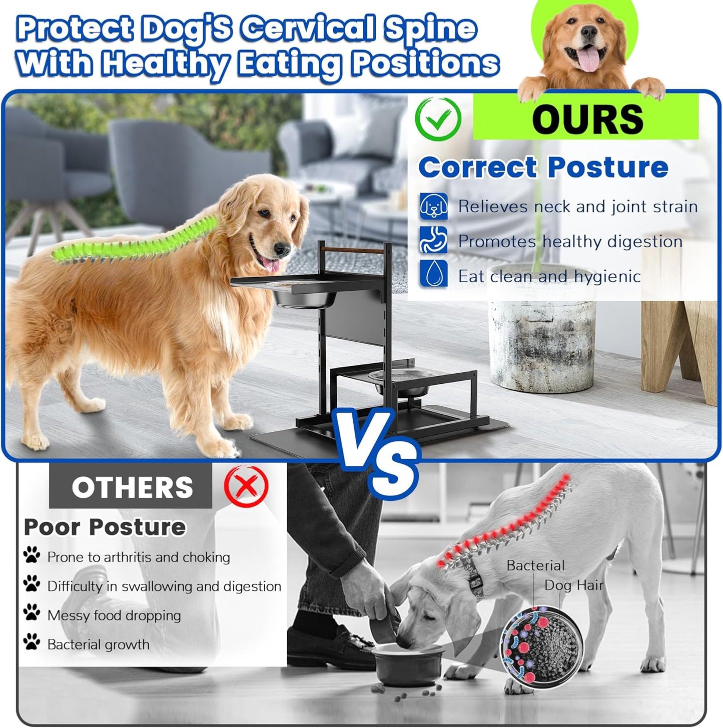 Elevated Dog Bowls with2 Stainless Steel Bowls, Adjustable Raised Dog Bowl Stand Holders with Non-Slip Mat, Metal Water Feeder for Medium,Large Puppy