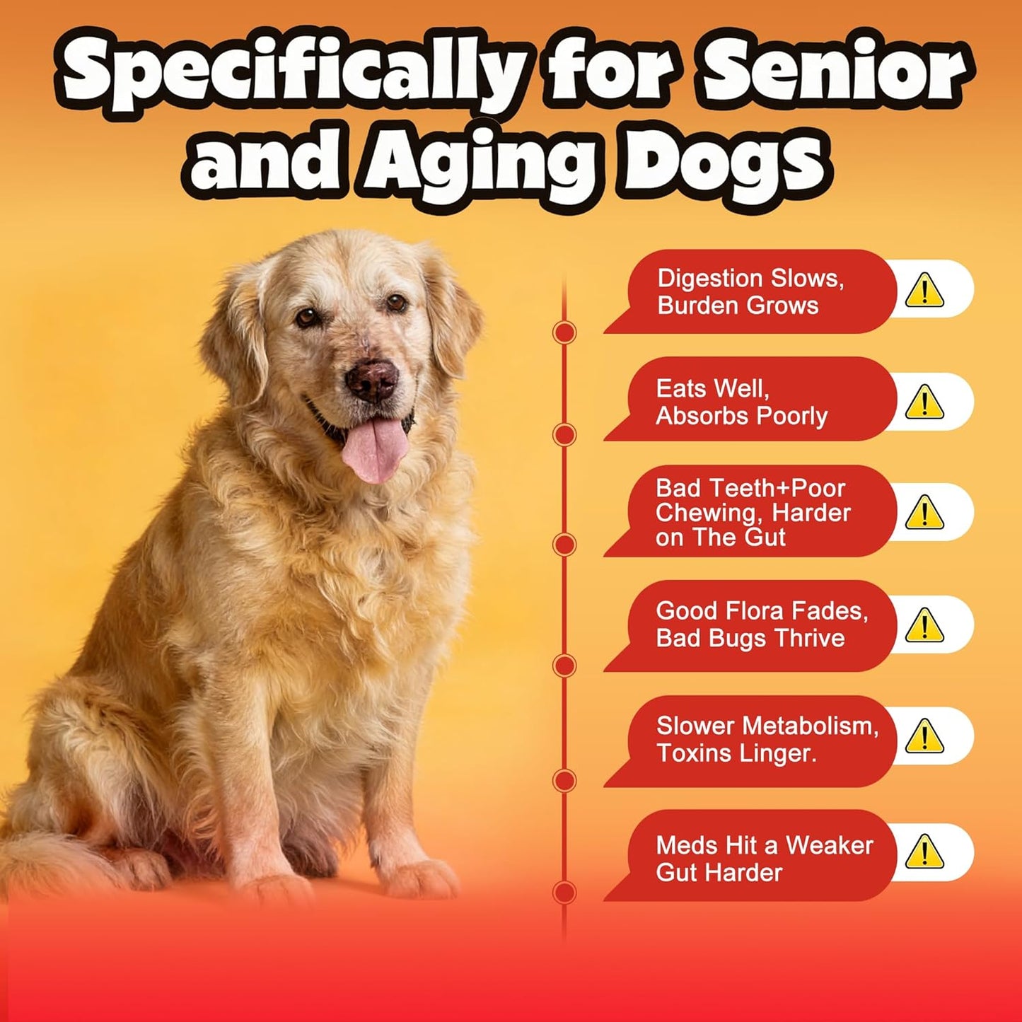 Probiotics for Dogs - Improve Gut Health, Digestive, Immunity, Yeast Balance, Solid Stool - with Prebiotics - Reduce Diarrhea, Gas, Bad Breath, Constipation, Allergy - Ideal for Senior Dogs (5+ Years)