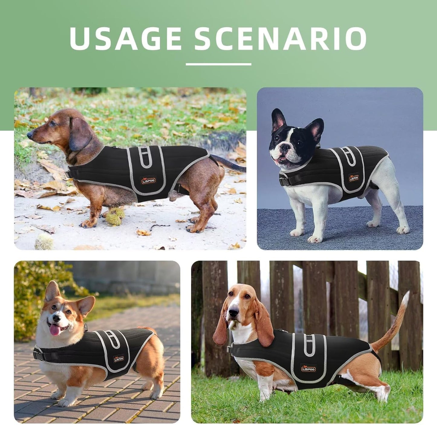 IVDD Dog Back Brace for Dachshunds & Slipped Disc | Post-Surgery Support & Arthritis Relief | Vet-Recommended Dog Back Brace | Breathable with Support Rods & Straps, Size XS