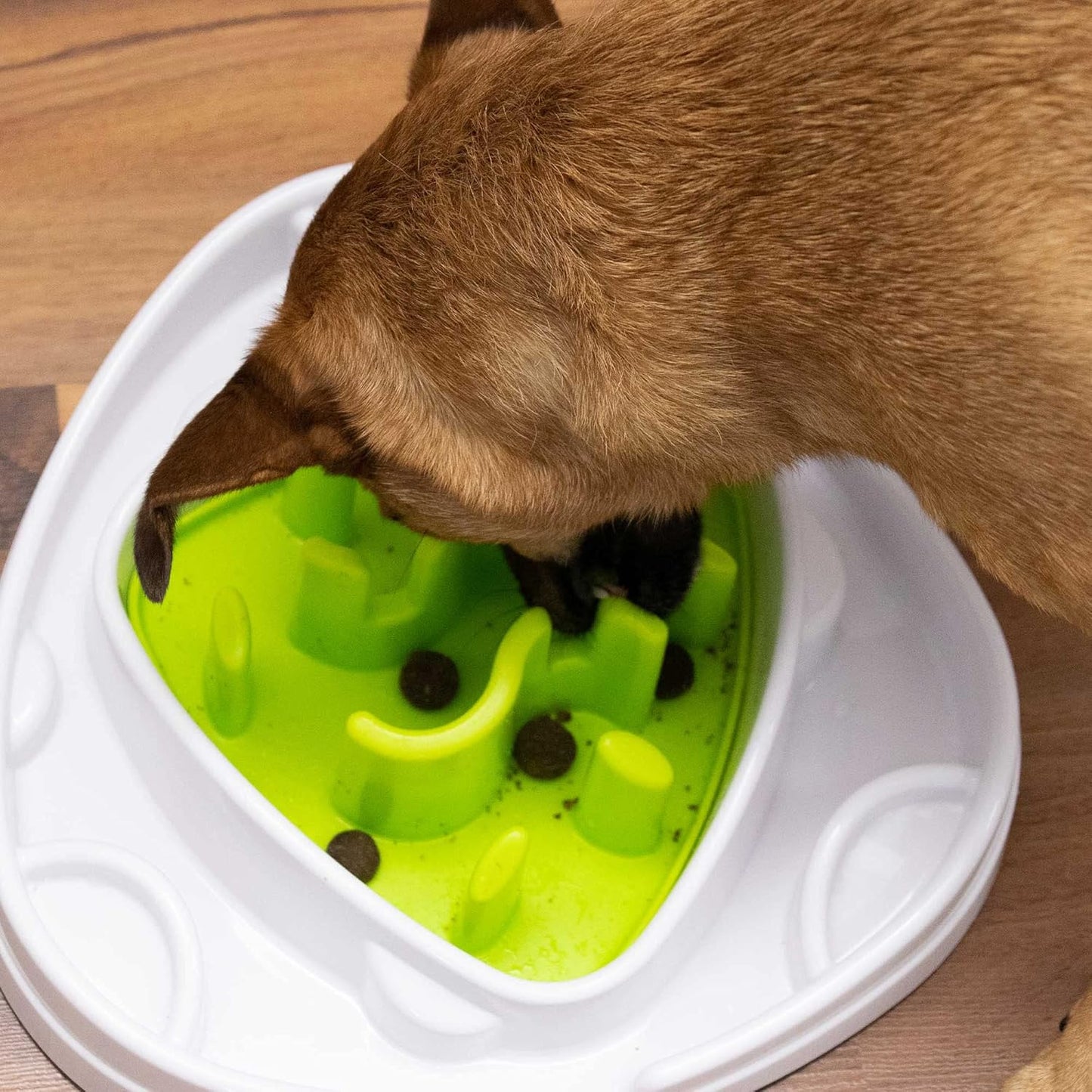All for Paws Interactives Food Maze Toy for Dogs, 5.45 kg