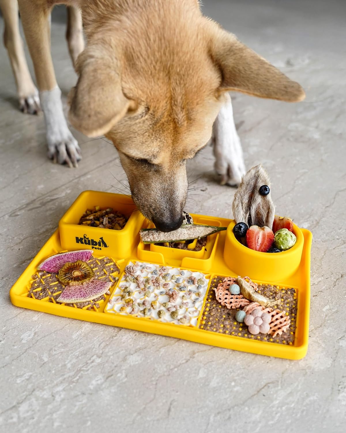 Snack Board Slow Feeder for Dogs – Large Enrichment Feeding Board with Mini Bowls & Flat Sections, Perfect for Treats & Meals | Kubi Pets