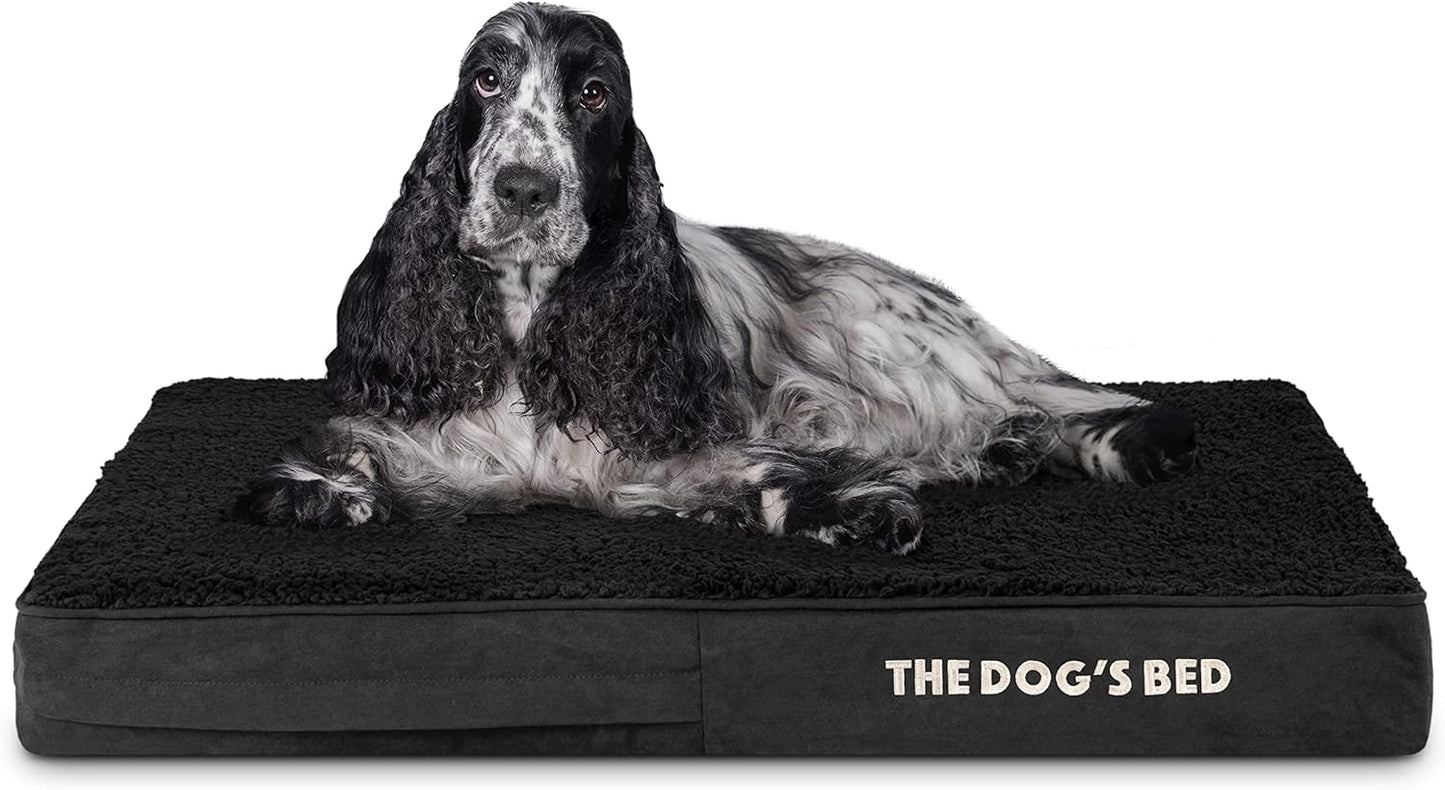 The Dog’s Bed Orthopedic Memory Foam Dog Bed Mattress, Plush Fabric, Grey with Blue Trim, Medium, 4-Inch