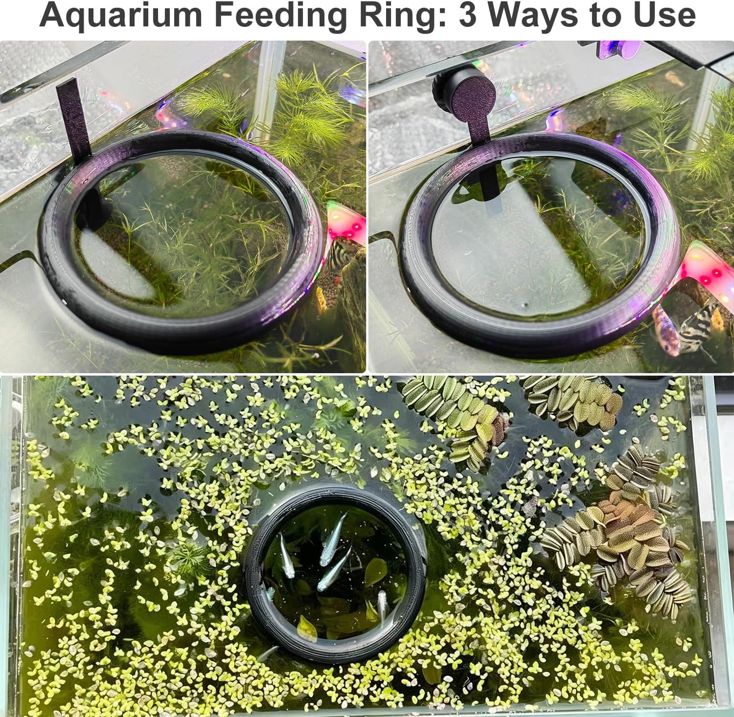 Magnetic Fish Feeding Ring, Aquarium Floating Feeder, Self-Adjusting to Water Level Fish Food Holder for Betta Goldfish Guppy Turtle