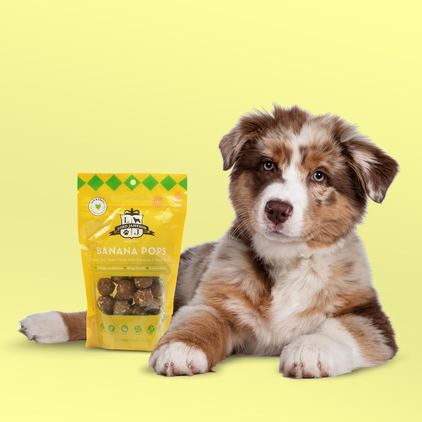 Lord Jameson: Banana Pops 6 oz - Dog Patisserie Treats, Organic Soft & Chewy No-Bake Bites, Vitamin Rich, Nutrient Dense, Gluten & Preservative Free