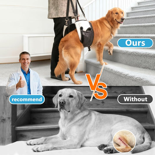 Dual-use Dog Lift Rehab Hareness Canine Sling for Large Pooch Rear Legs and Hip Support,Adjustable and Soft Brace Strap for After ACL Surgery, Helps Senior, Injured and Disabled K9.