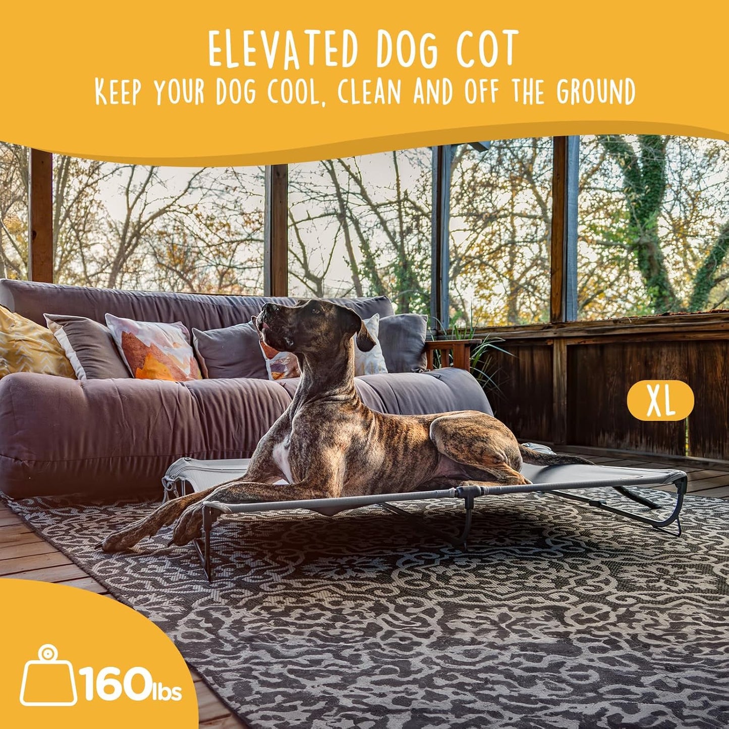 Daisy Cot, XL Foldable Elevated Dog Bed, Portable Raised Outdoor Folding Dog Cots, Cooling, Chew Proof, Waterproof, Heavy Duty Up to 160 lbs for Camping/Home, Grey, 49"x 33"x7"