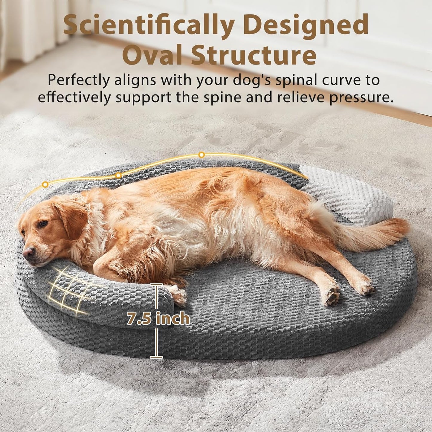 JOEJOY Orthopedic Dog Beds Large Sized Dog, Washable Waterproof Large Dog Bed with Removable Cover, Supportiv Egg-Crate Memory Foam Pet Bed with Non-Skid Bottom & Bolster Sides, Dark Grey, 36''x27''
