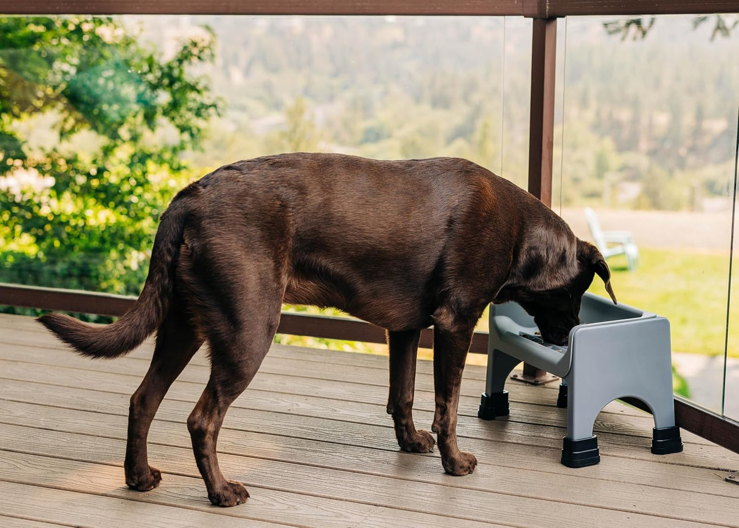 The Fluff Trough Set Elevated Dog Bowl Feeder for Healthy Posture & Digestion, Minimizes Neck Strain, Ideal Flat-Faced Pets, Vet Recommended, Dishwasher Safe, Gray, X-Large (Pack of 1)